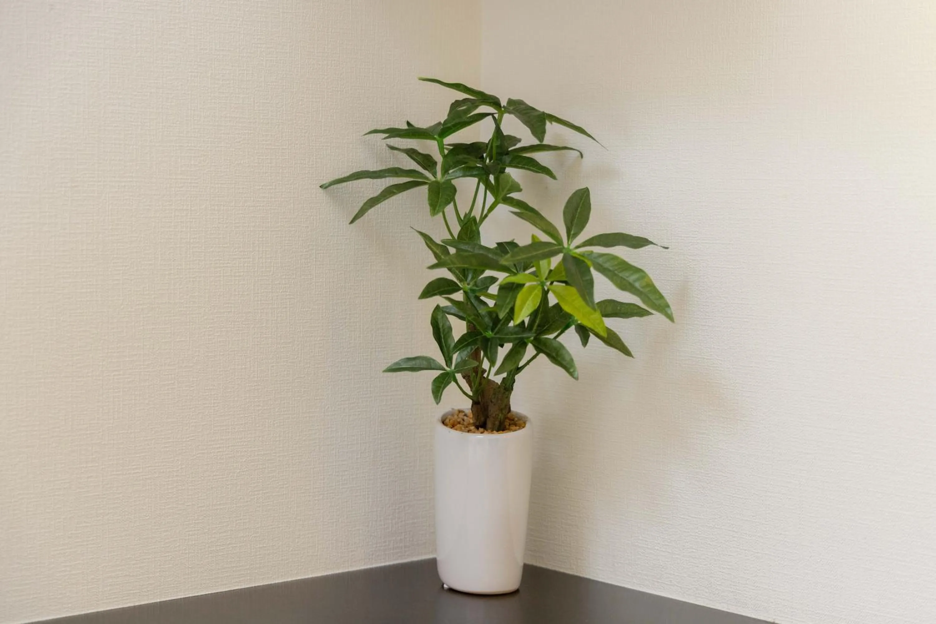 Photo of the whole room in 錦系町天空樹景觀飯店 Skytree View Kinshicho - crib free