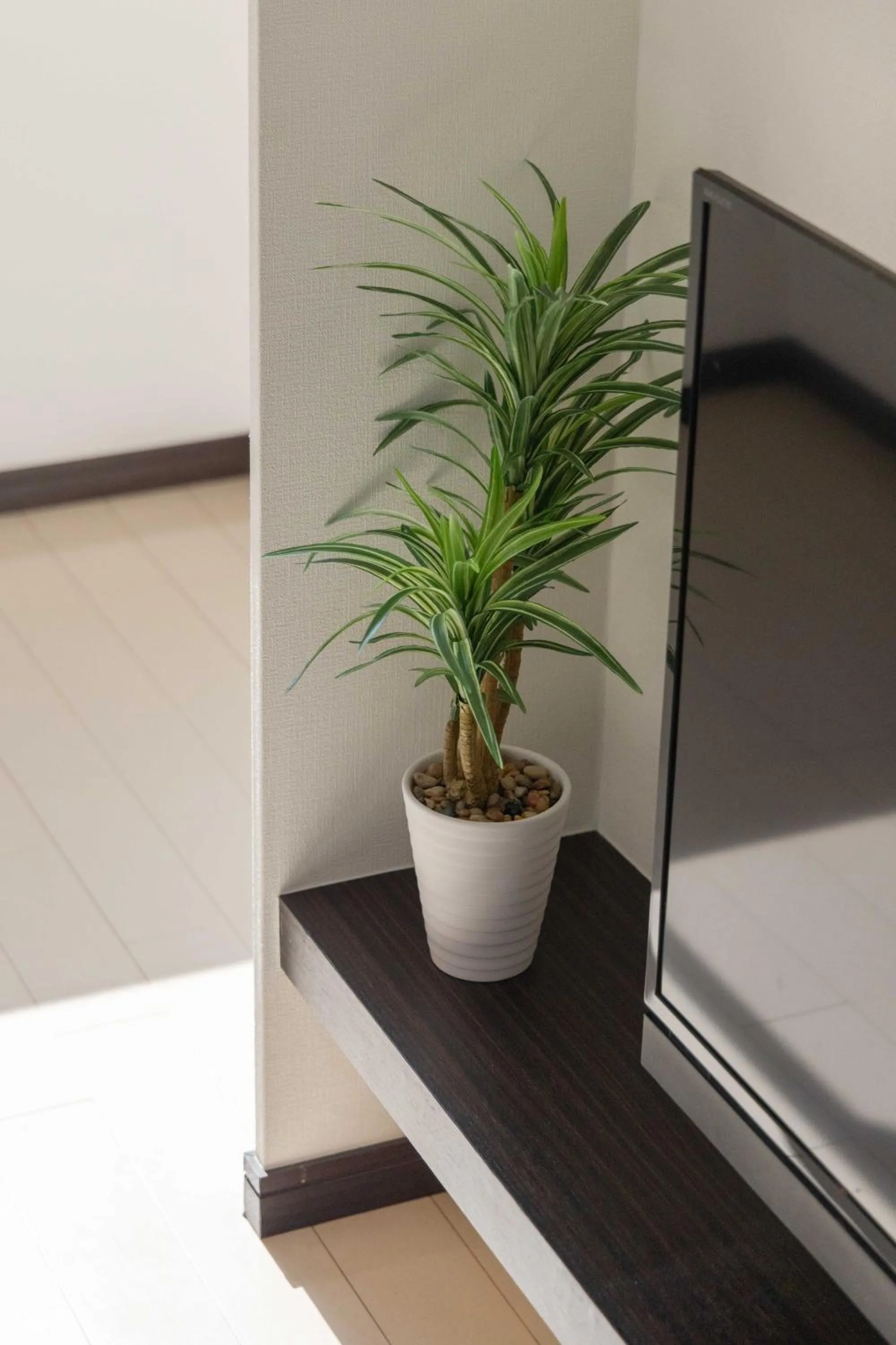 Photo of the whole room in 錦系町天空樹景觀飯店 Skytree View Kinshicho - crib free