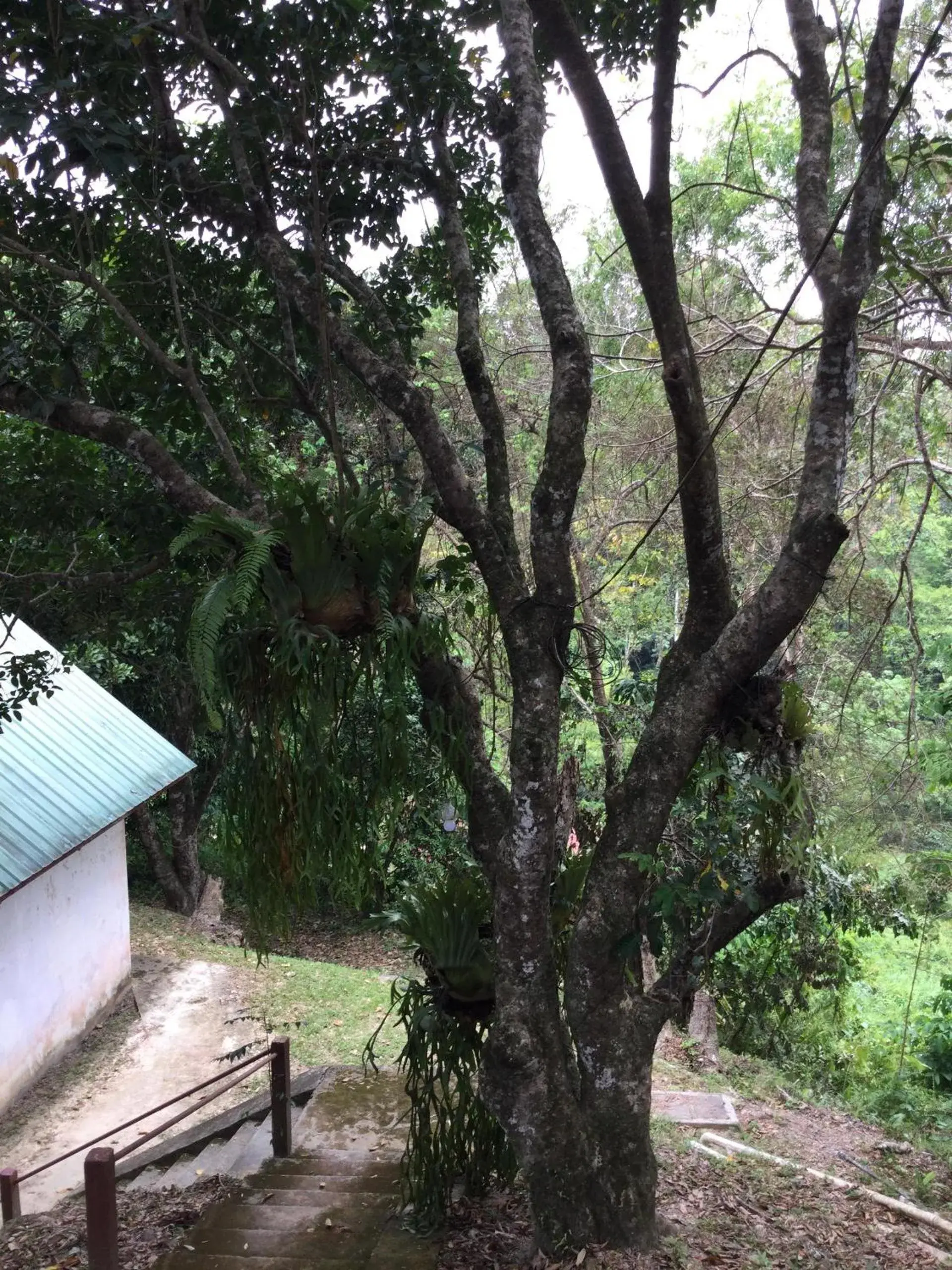 D view hill hotel D view hill hotel