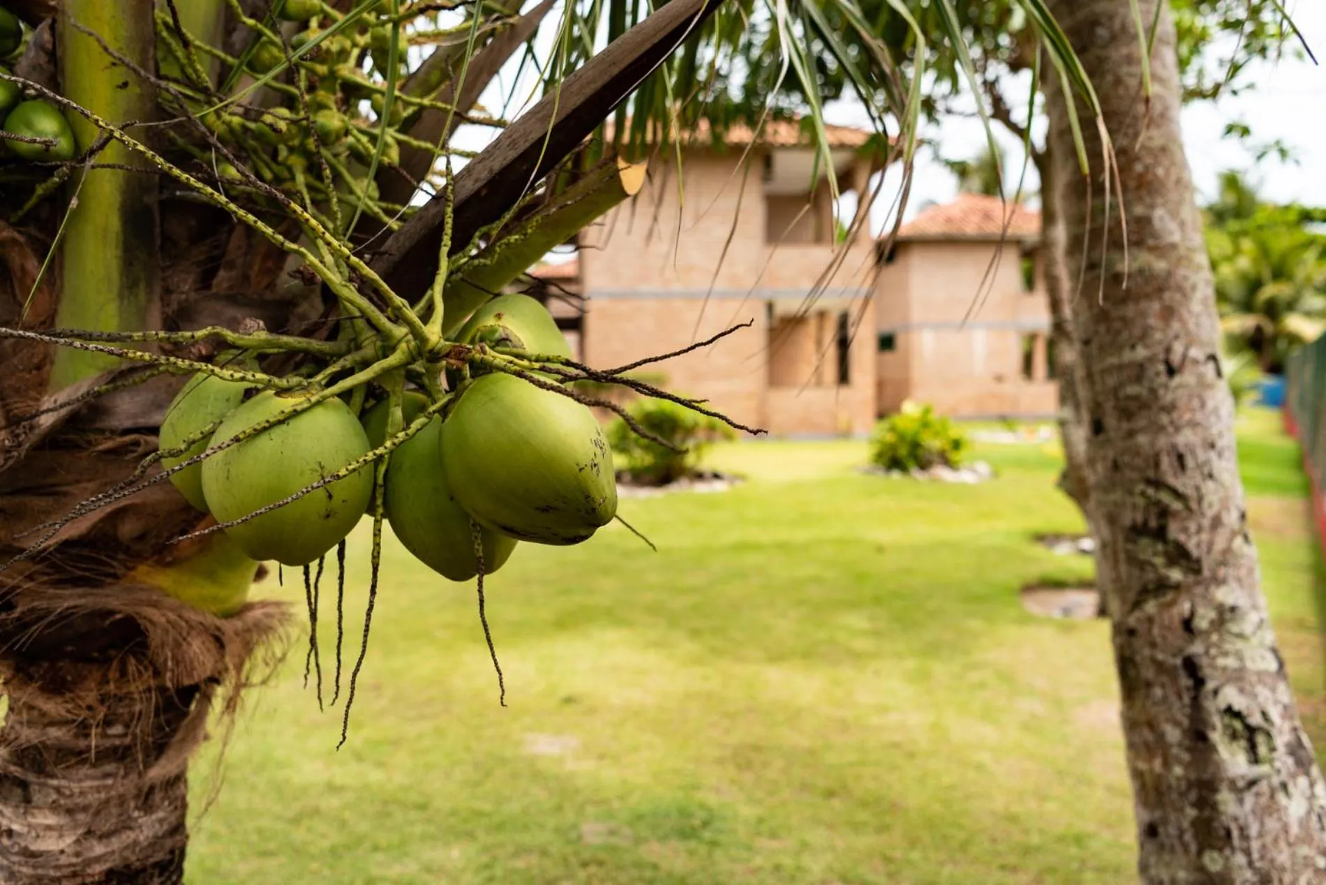 Garden in Pousada Boa Sorte