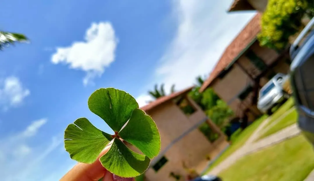 Natural landscape in Pousada Boa Sorte