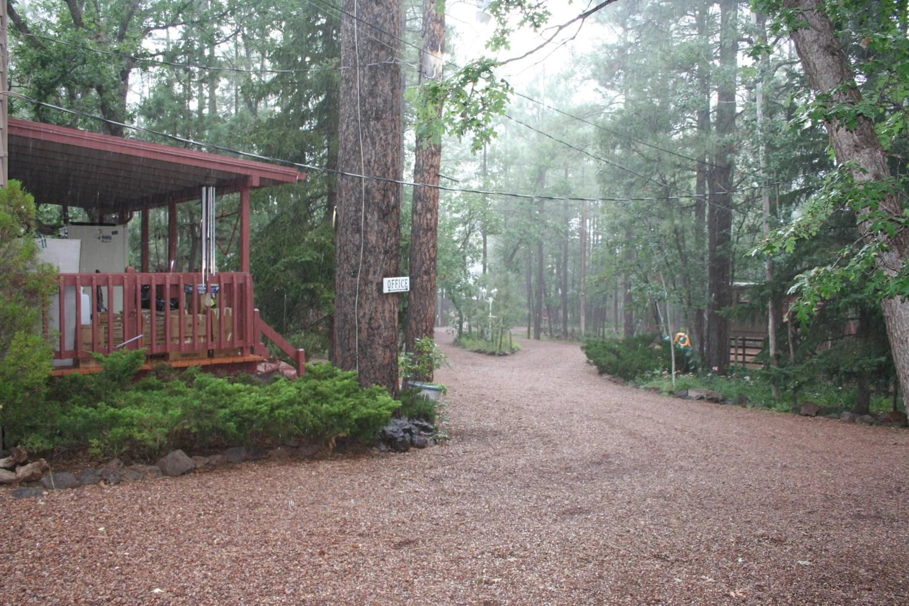 View (from property/room) in Northwoods Resort Cabins