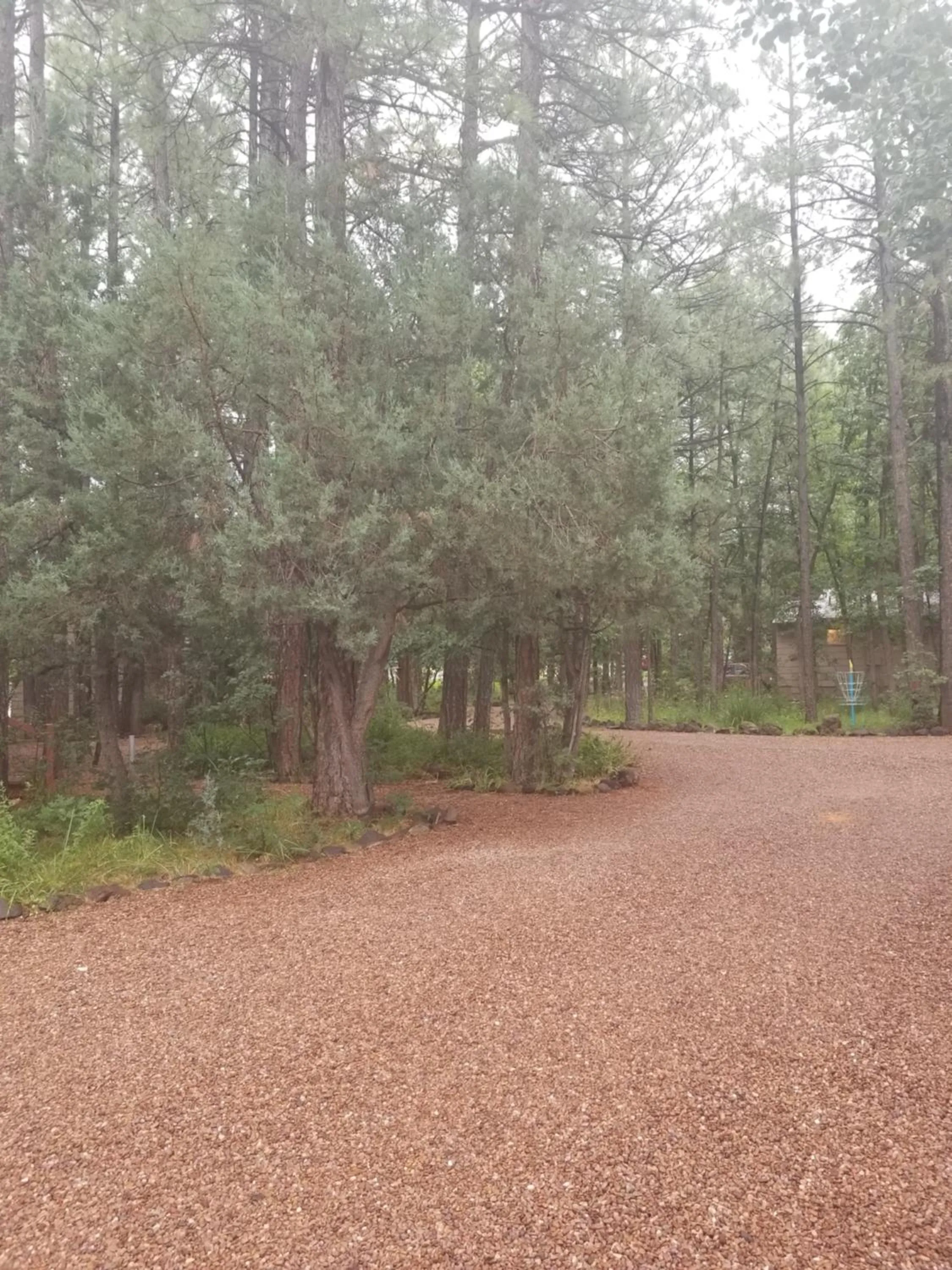 Spring in Northwoods Resort Cabins