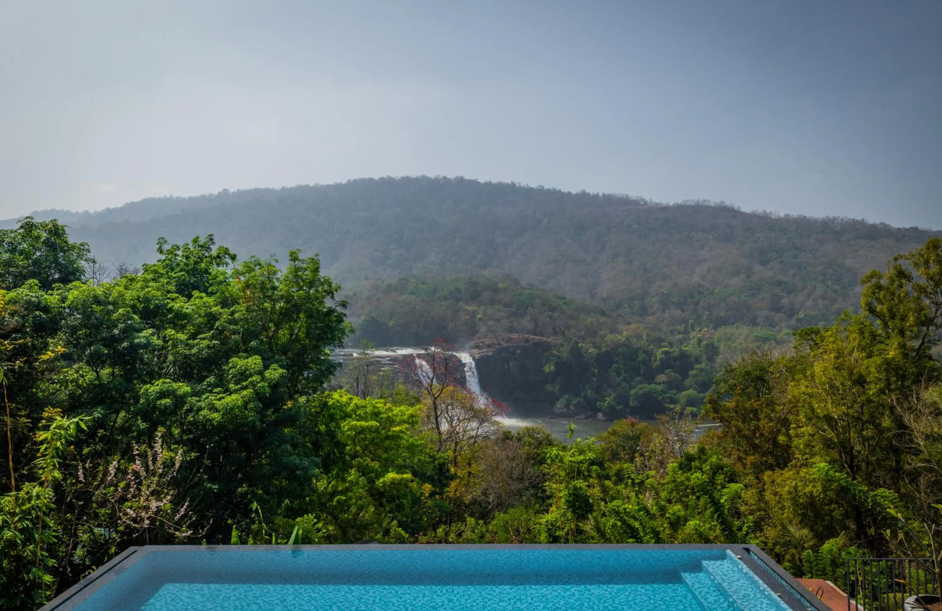 Flora Misty Falls Athirappilly