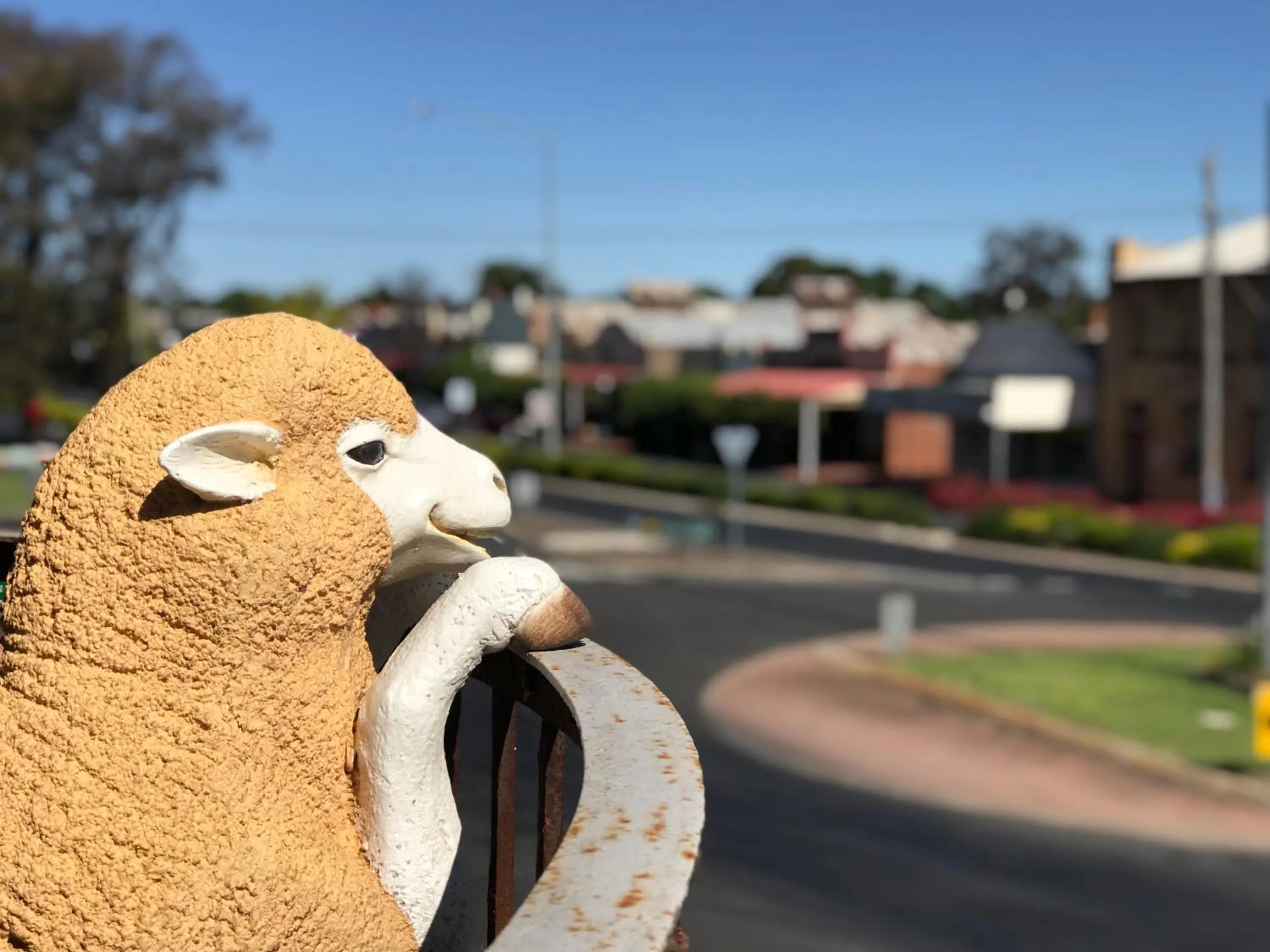 Balcony/Terrace in COMMERCIAL HOTEL KANIVA call to save dollars