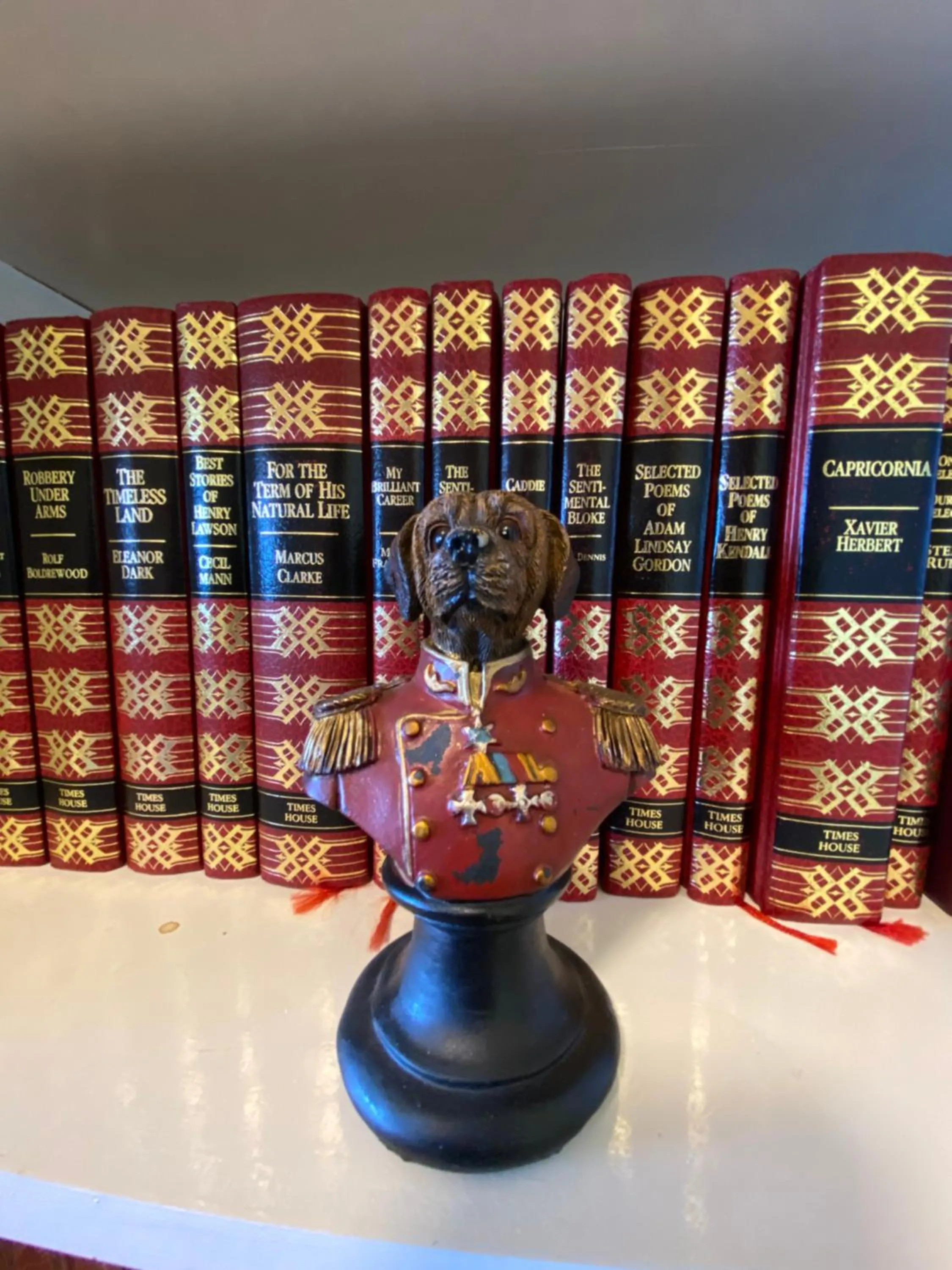 Library in COMMERCIAL HOTEL KANIVA call to save dollars