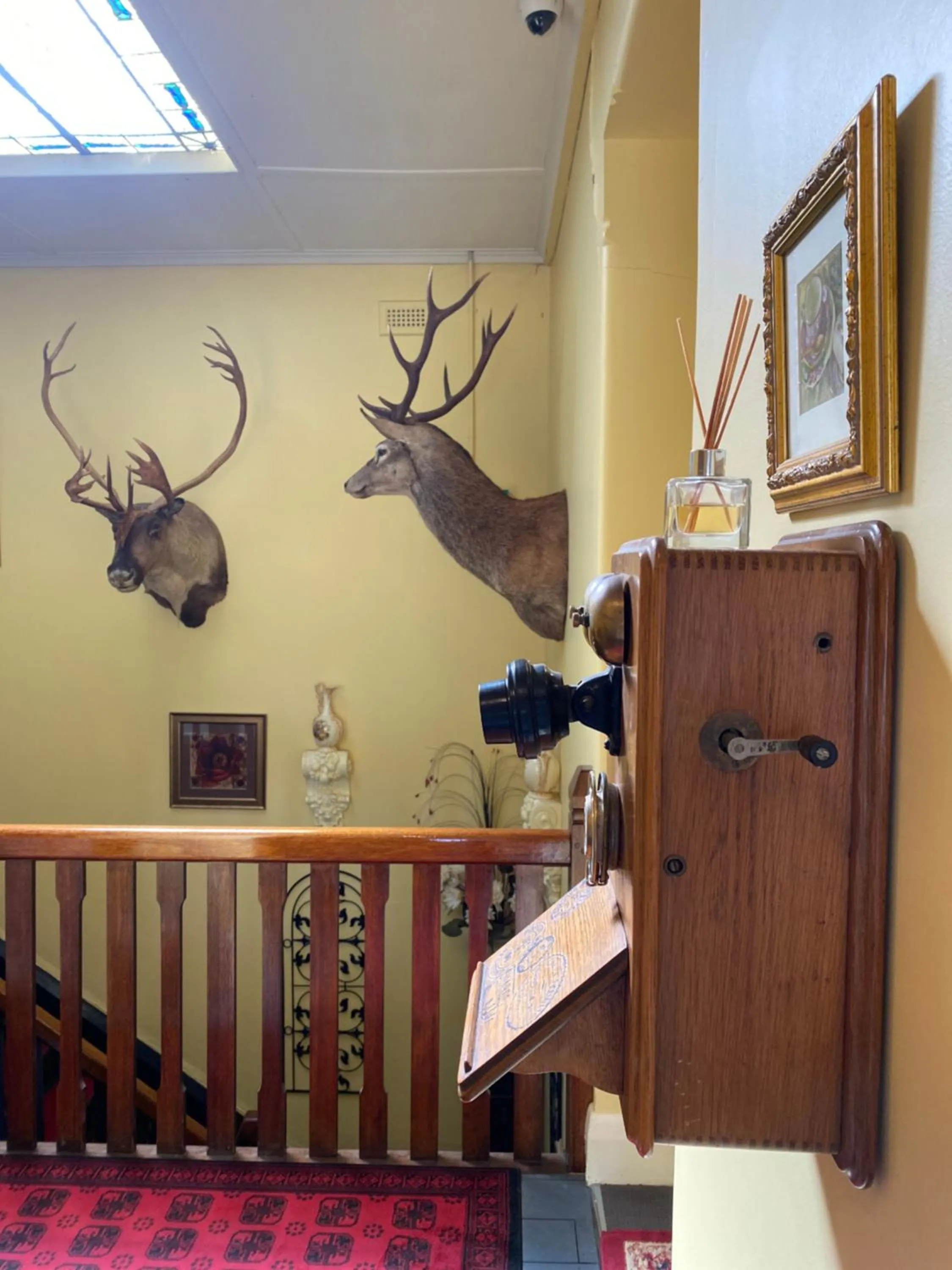 Decorative detail in COMMERCIAL HOTEL KANIVA call to save dollars