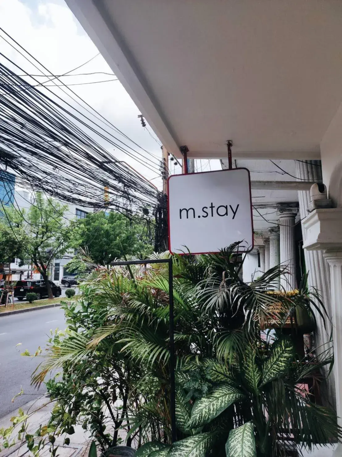 Property building in mstay Property building in mstay