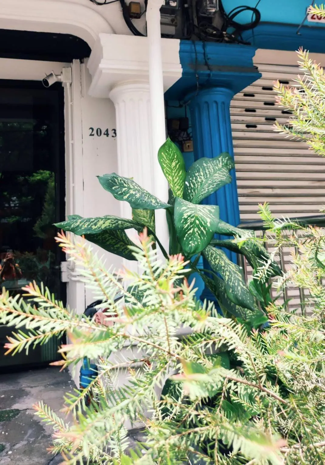 Around The World Bed and Breakfast