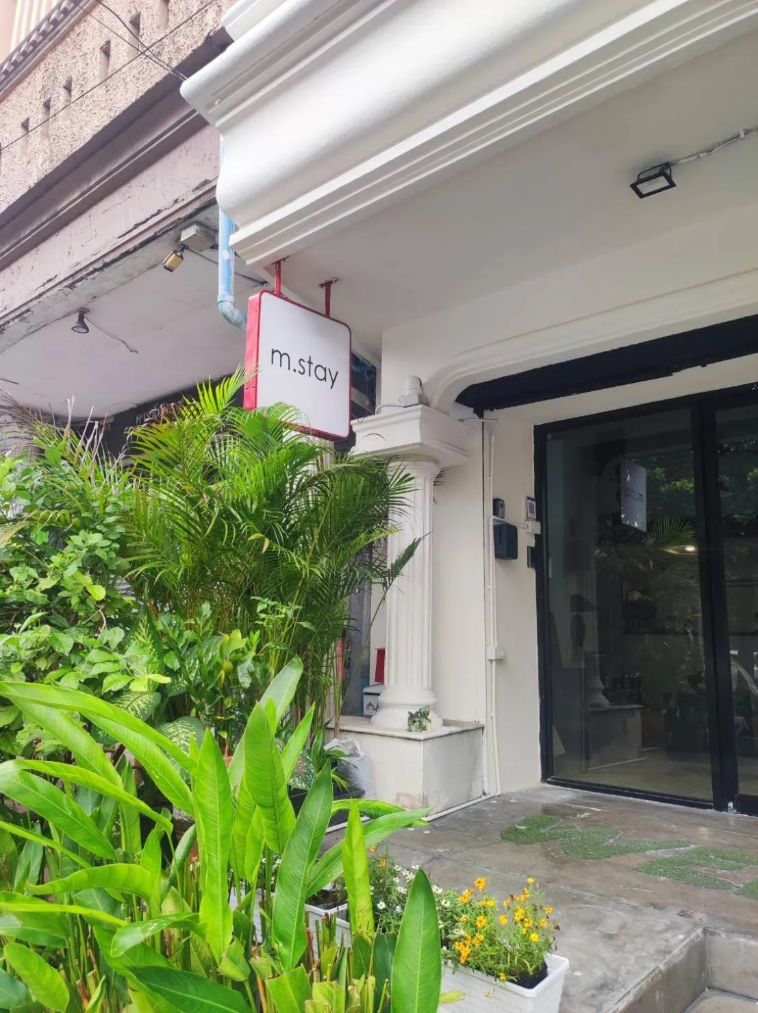 Property building in mstay