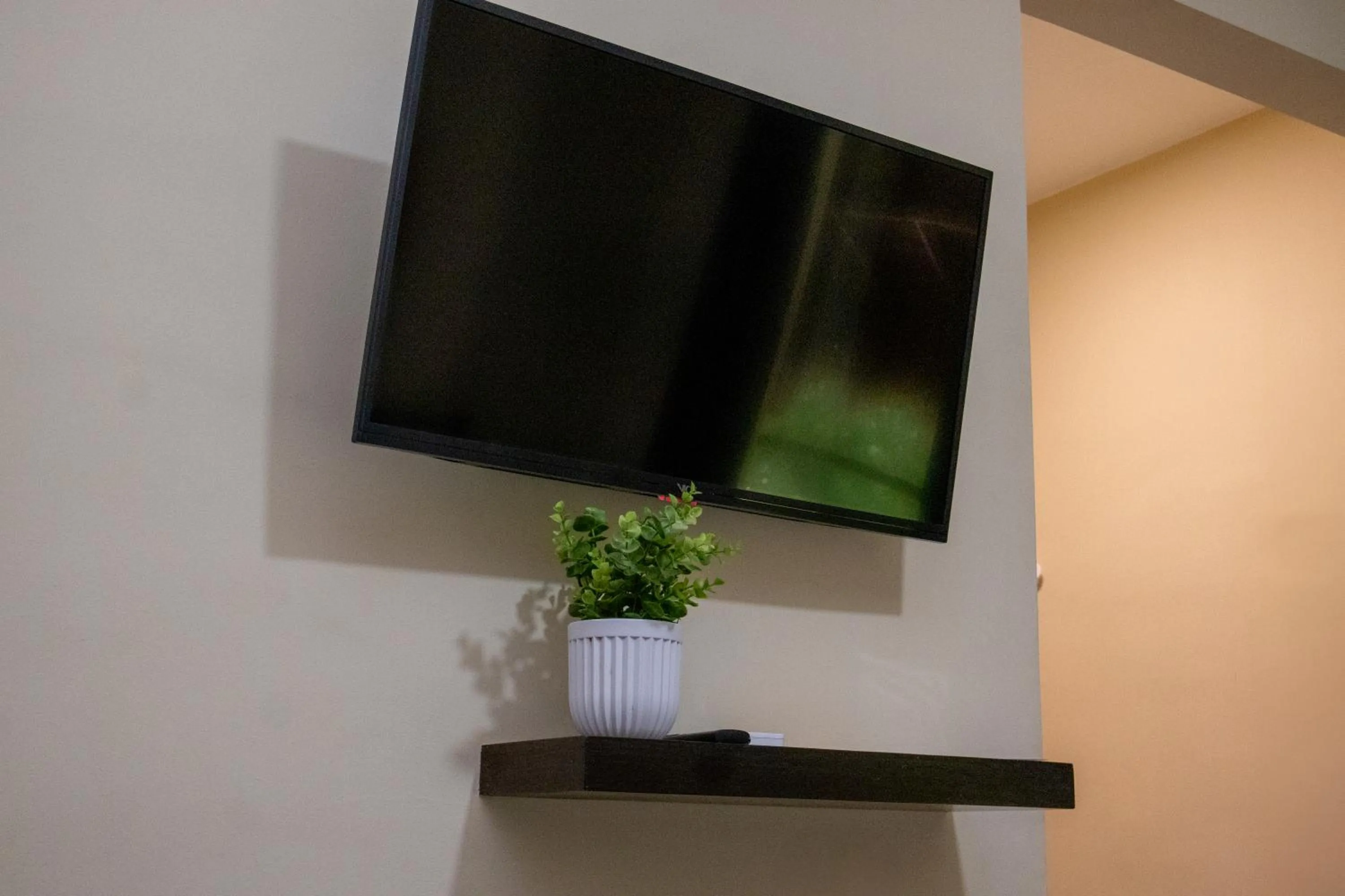 TV and multimedia in Ammare Hotel Boutique