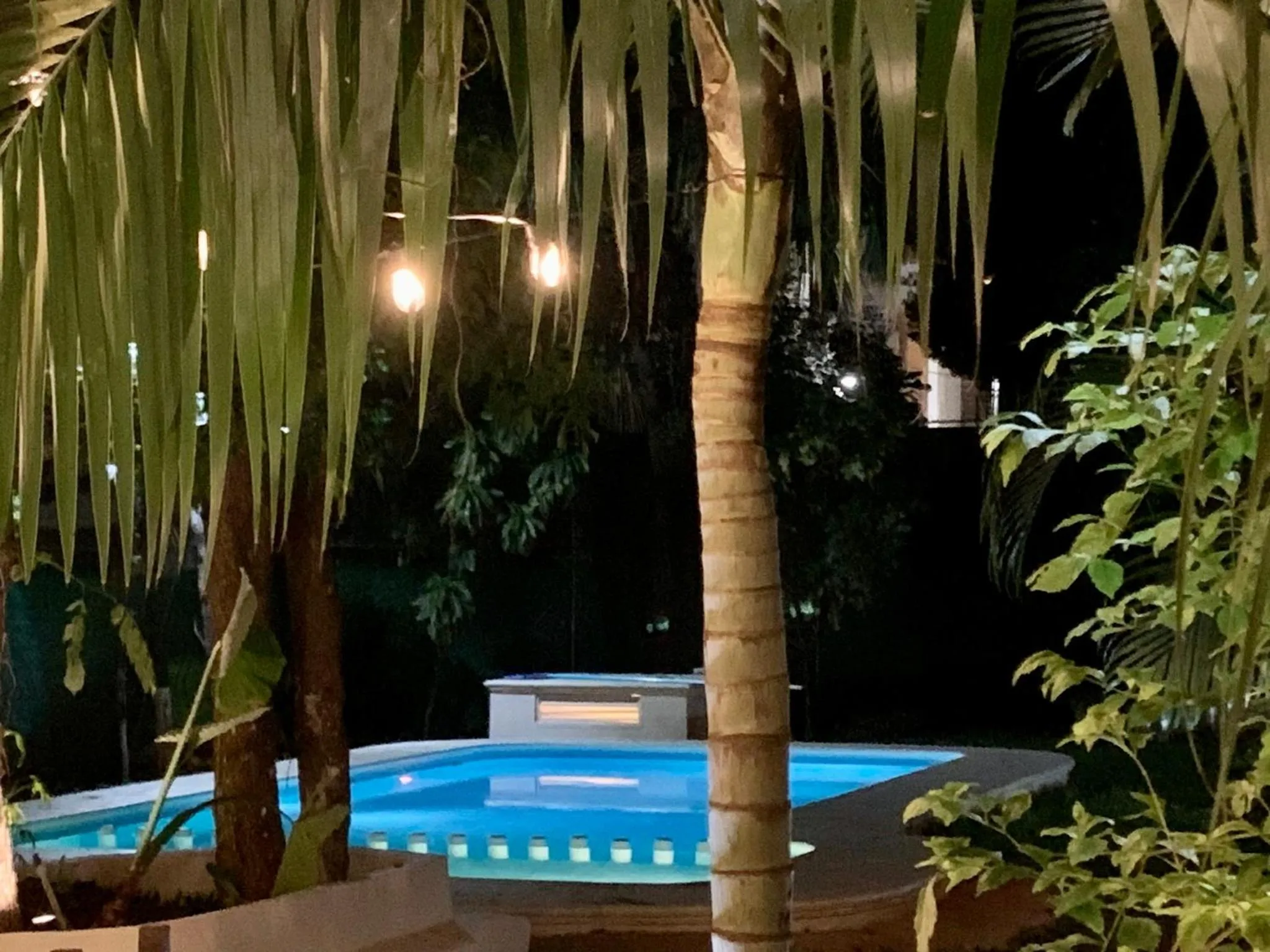 Pool view in Ammare Hotel Boutique