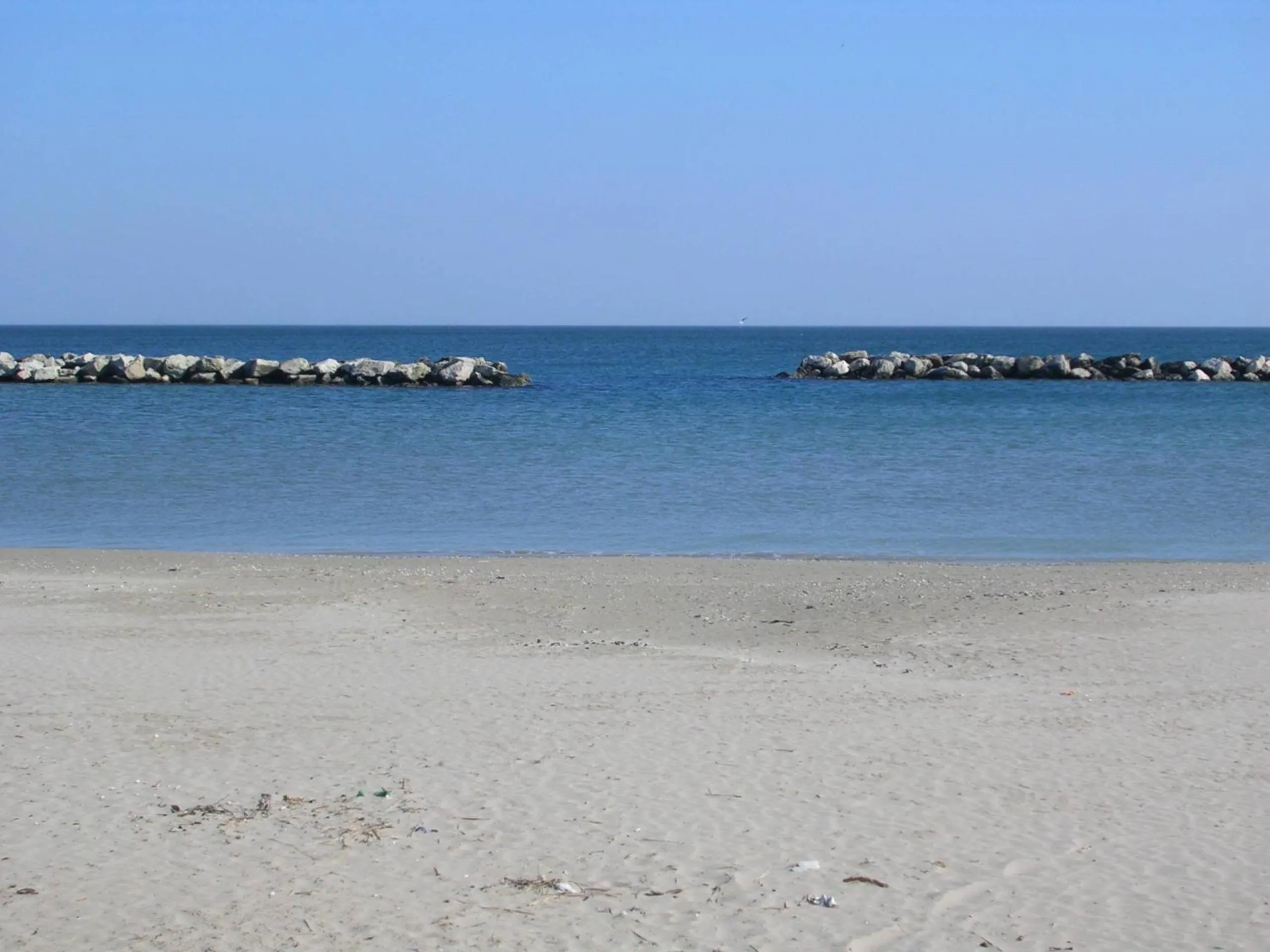 Natural landscape in Hotel Welt