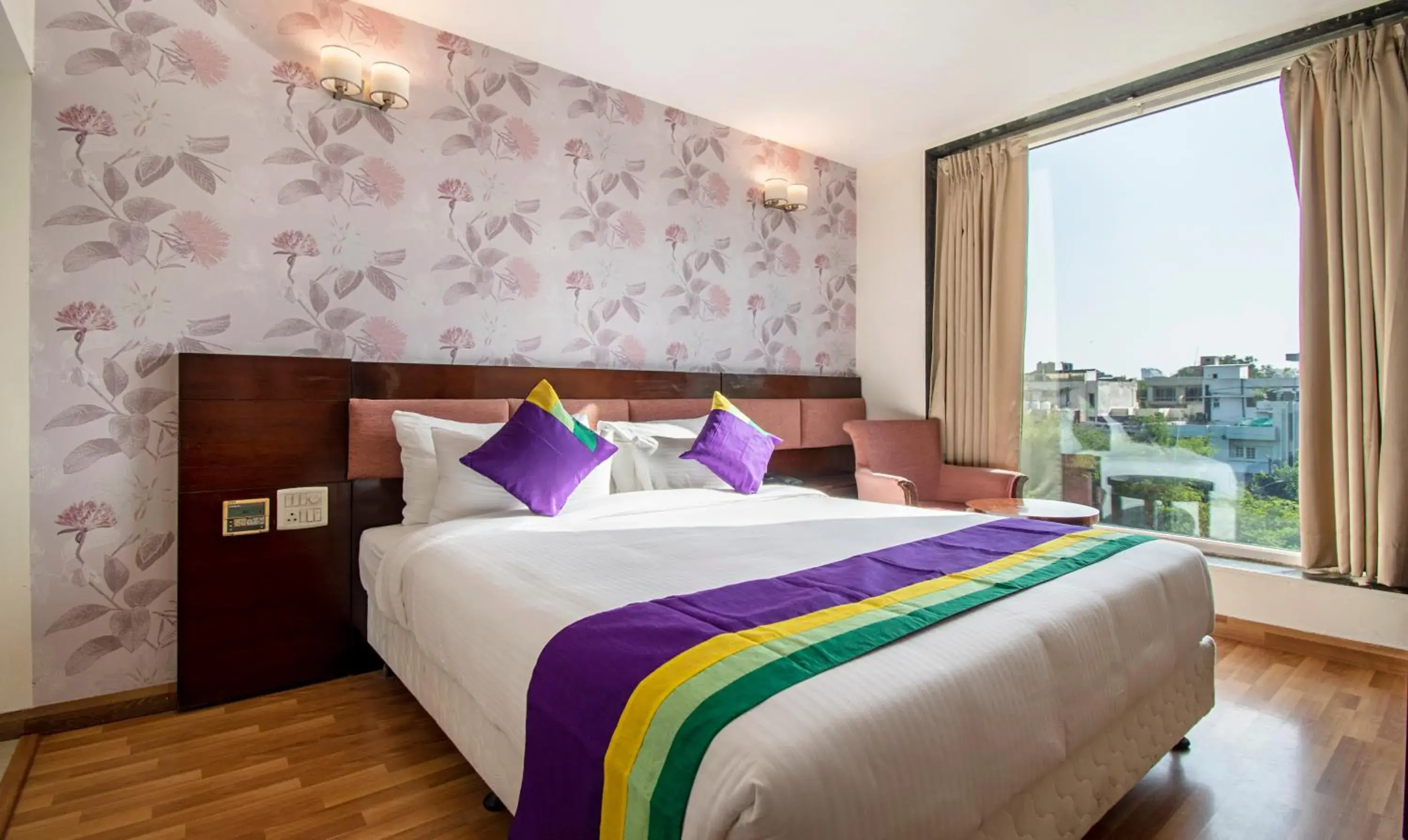 Treebo Premium Rose Mallow Treebo Premium Rose Mallow