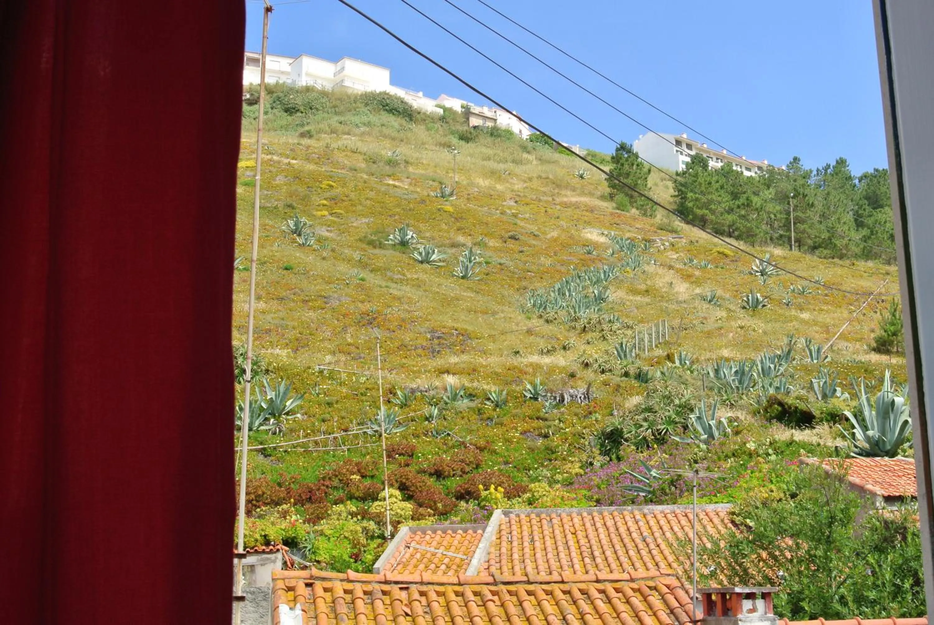 View (from property/room) in Nazaré Hostel - Rooms & Dorms