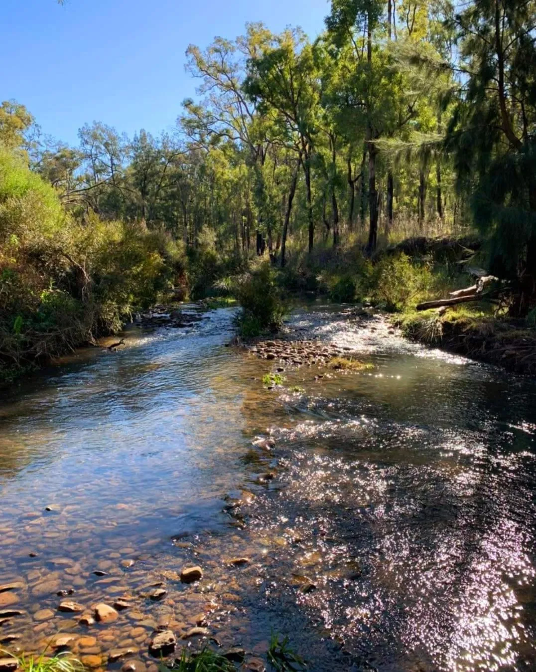 River view in Warrumbungles Mountain Motel