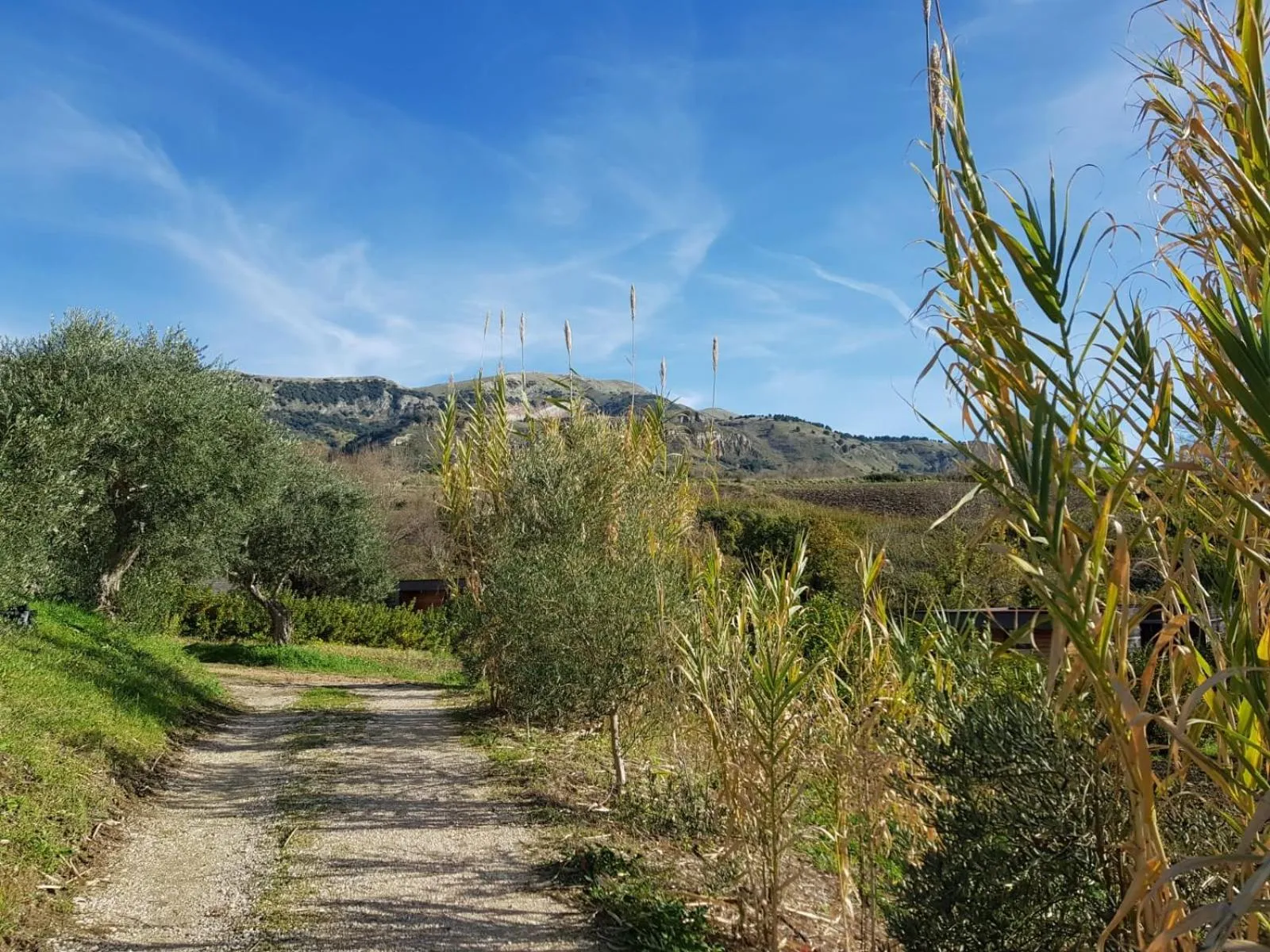 Property building in Il Bevaio Di Corleone