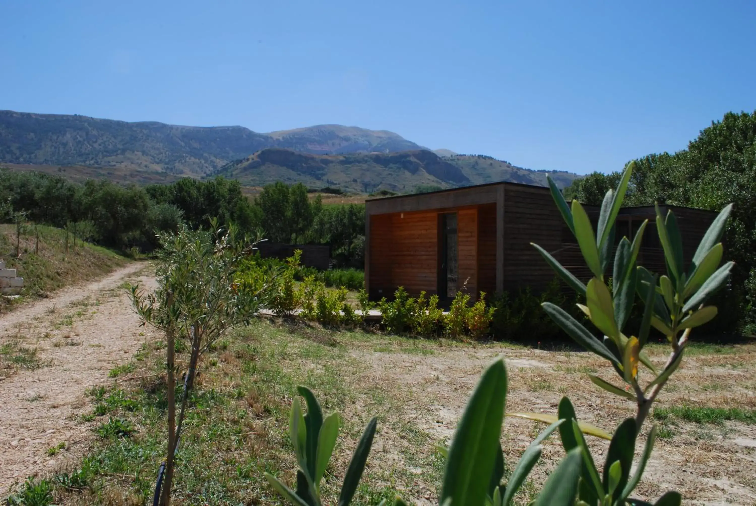 View (from property/room) in Il Bevaio Di Corleone View (from property/room) in Il Bevaio Di Corleone