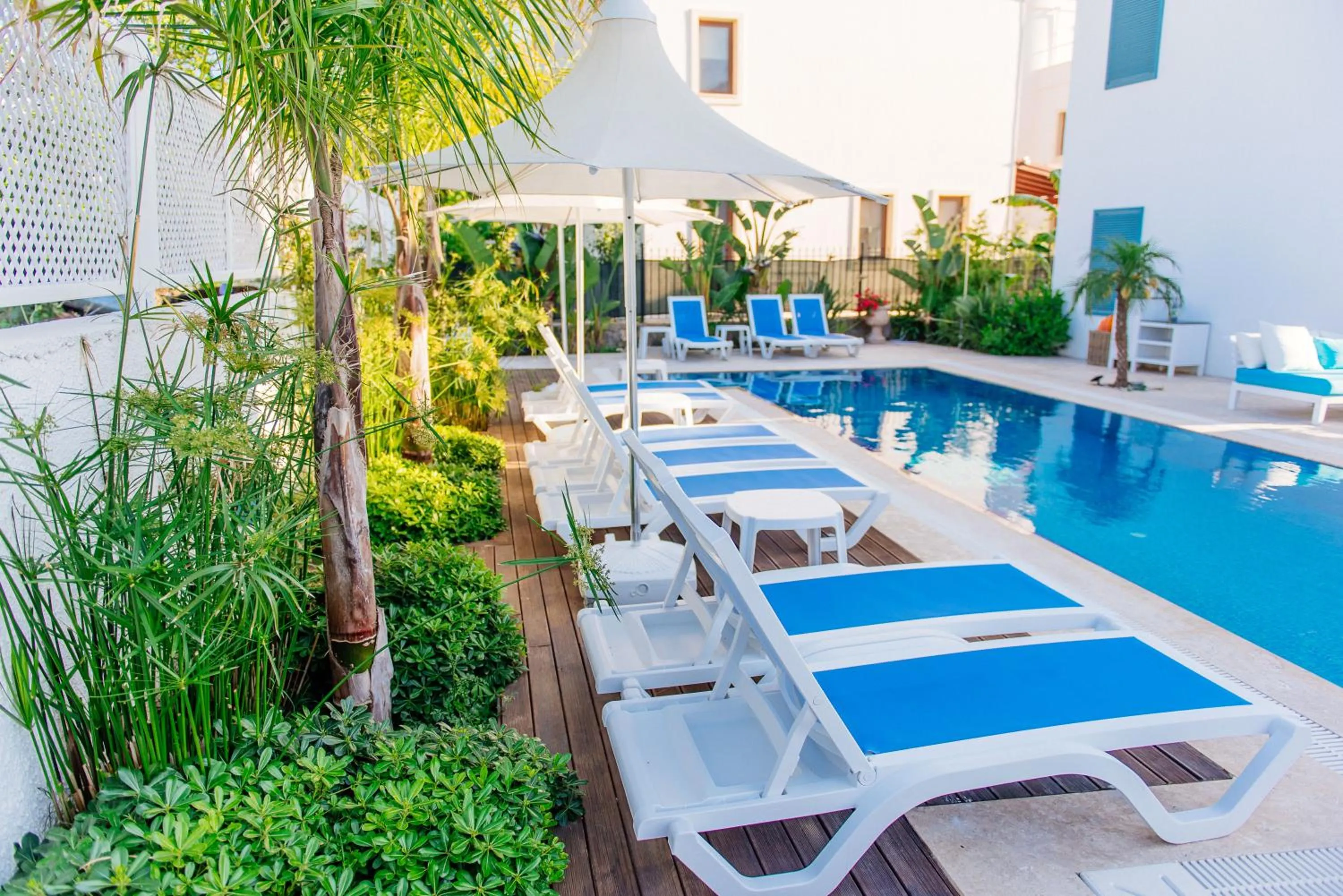 Garden view in Via Farilya Hotel