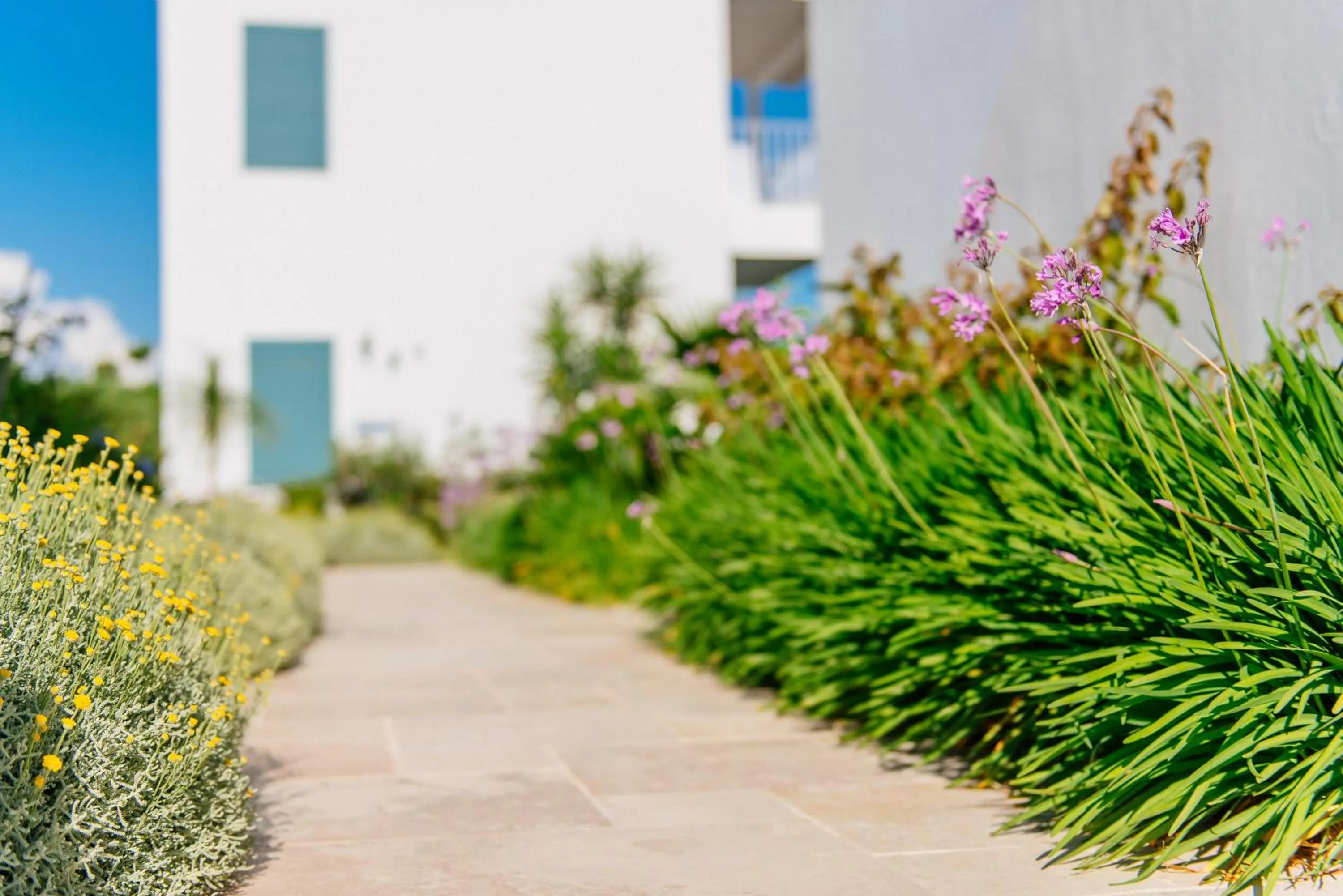 Garden view in Via Farilya Hotel
