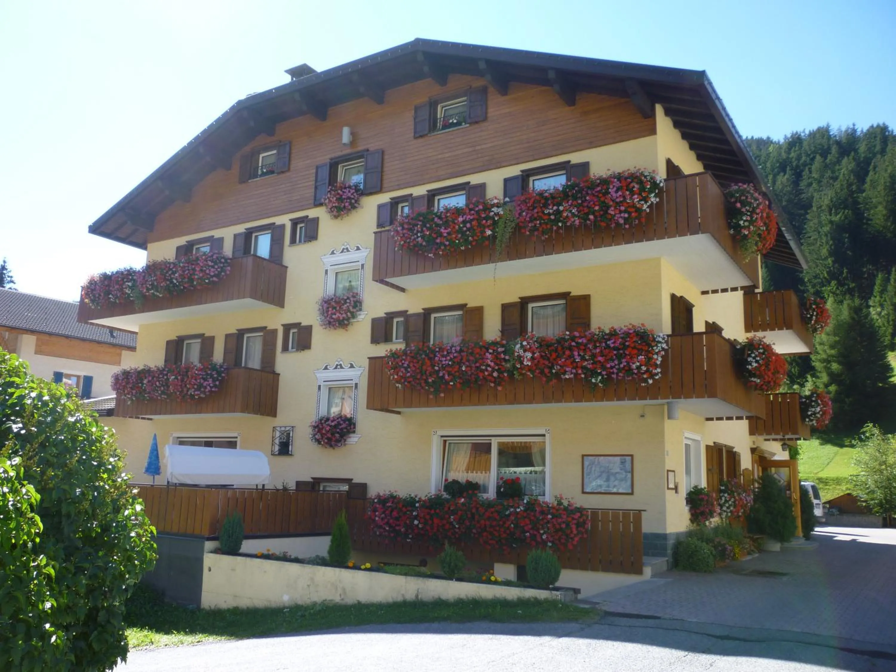 Summer in Hotel I Rododendri