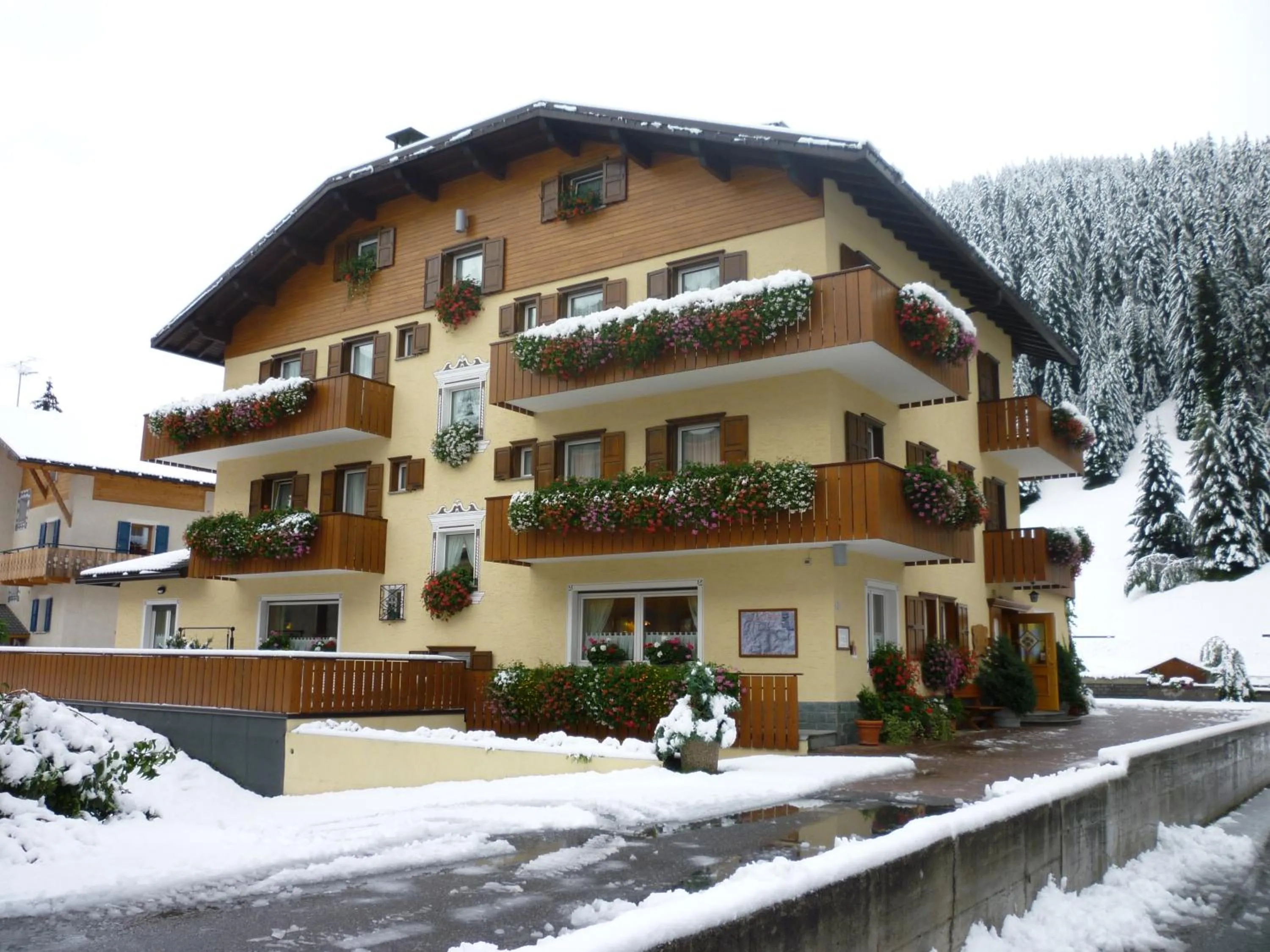 Property building in Hotel I Rododendri