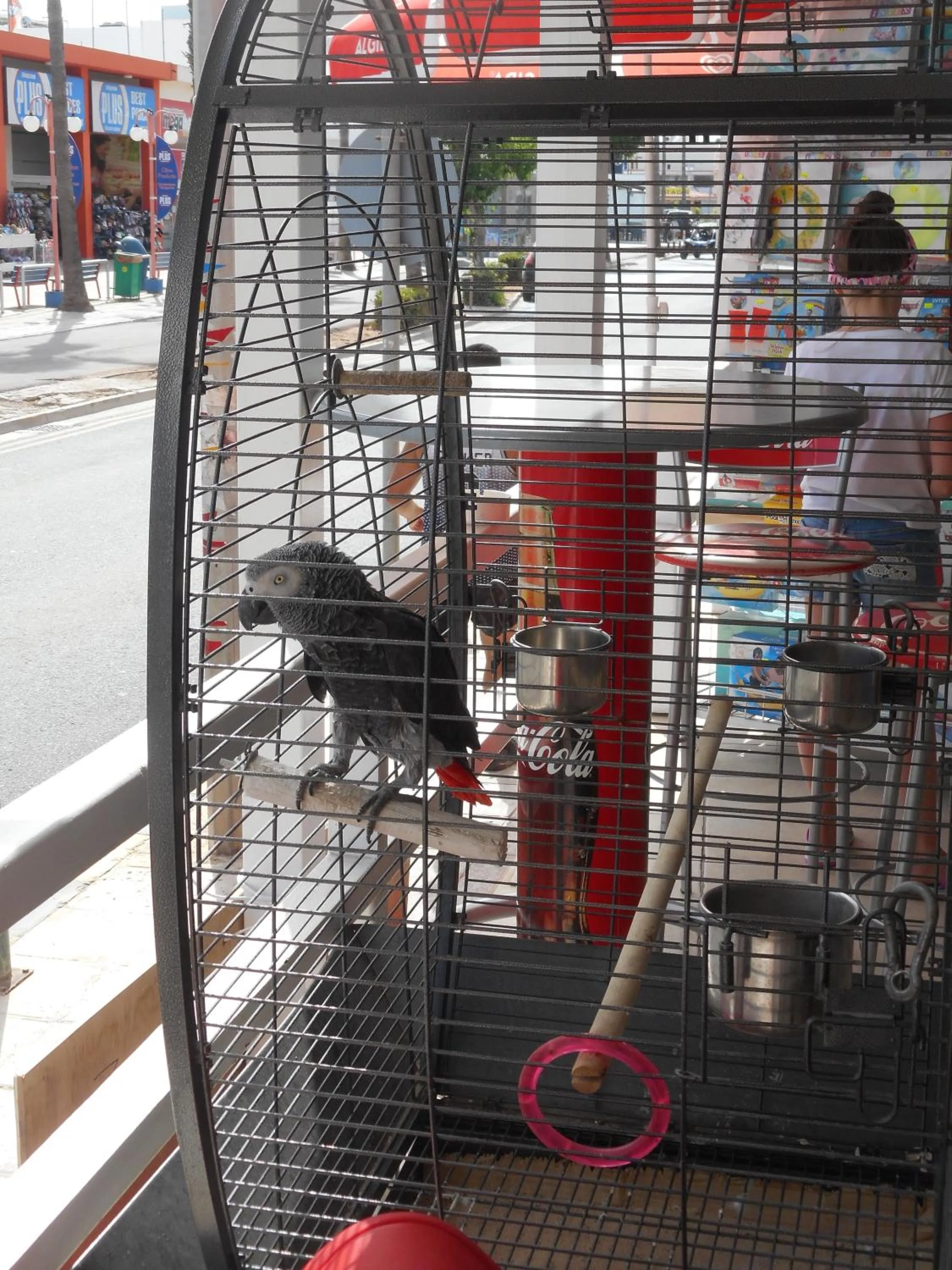 Pets in Kkaras Hotel 3 Star