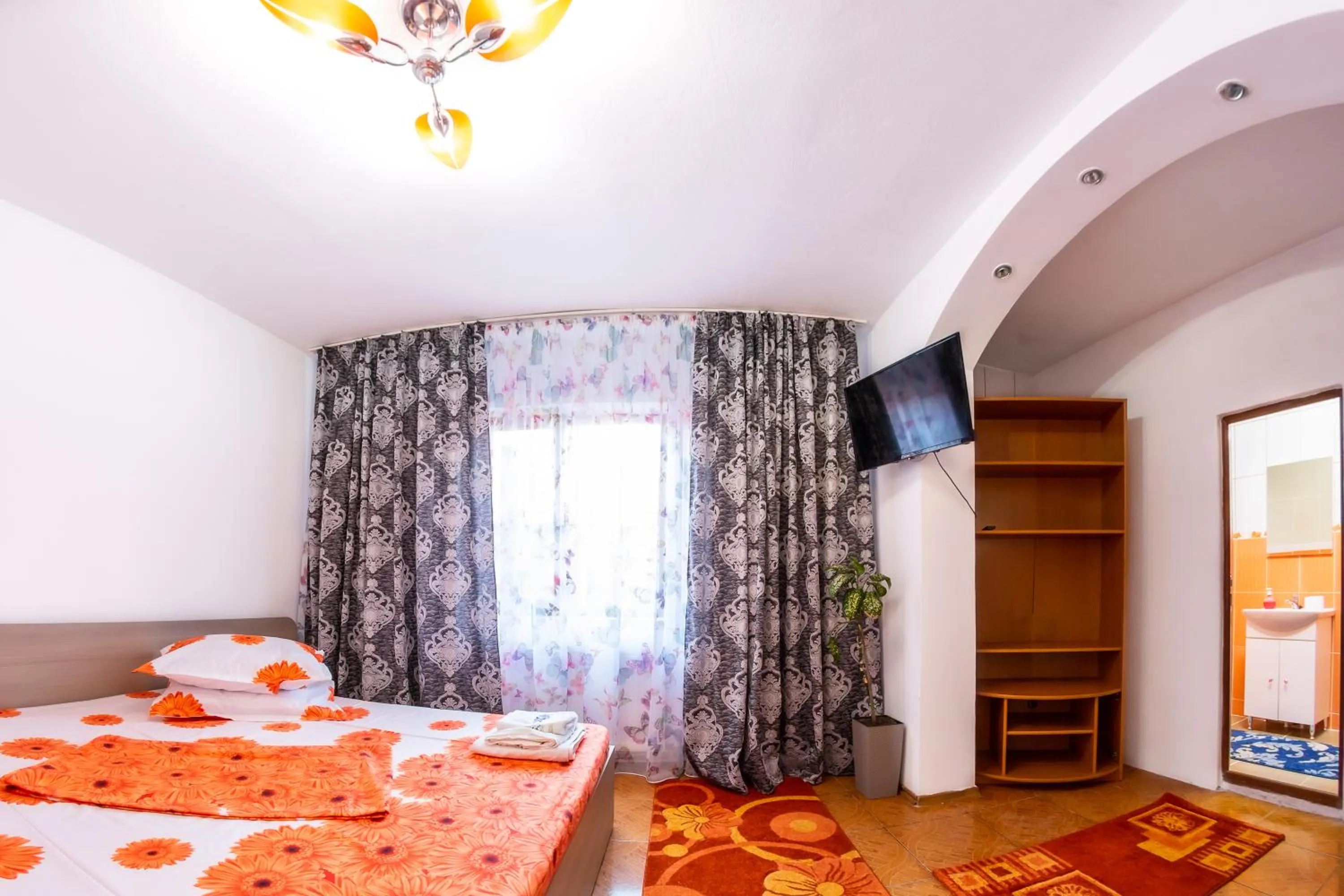Double Room with Private Bathroom in Pensiunea Mariana