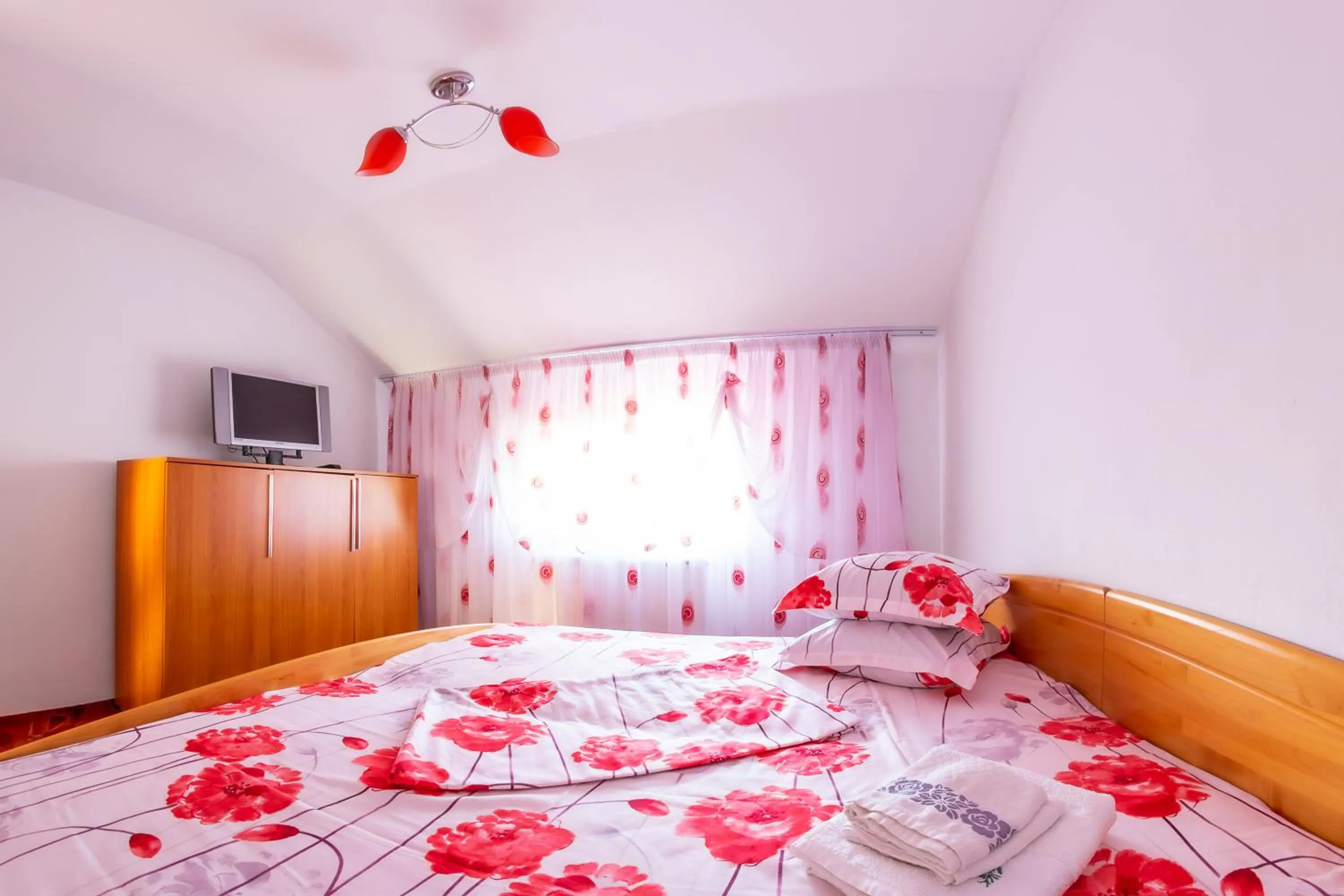 Double Room with Shared Bathroom in Pensiunea Mariana