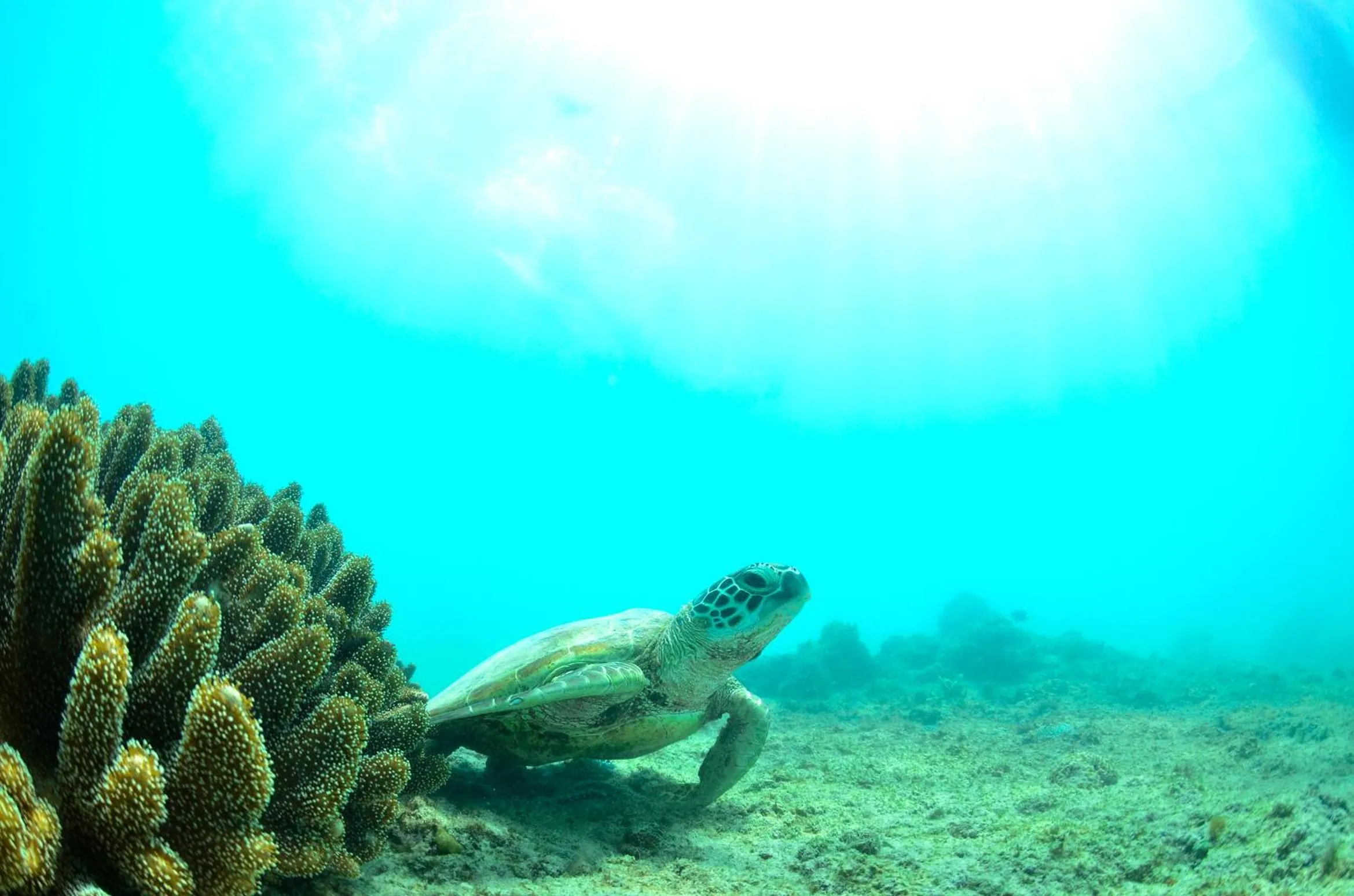 Off site in The Shigira