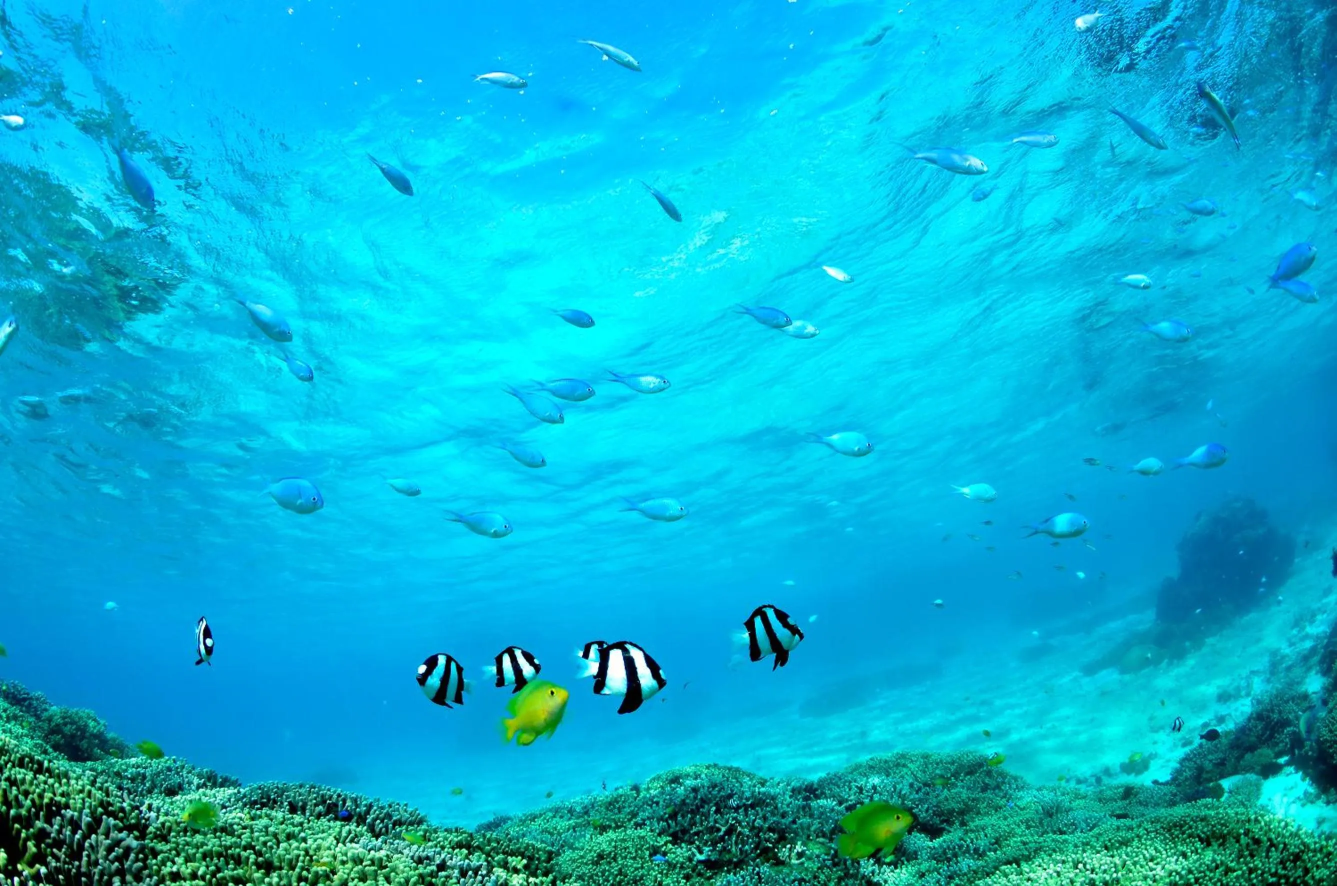 Off site in The Shigira