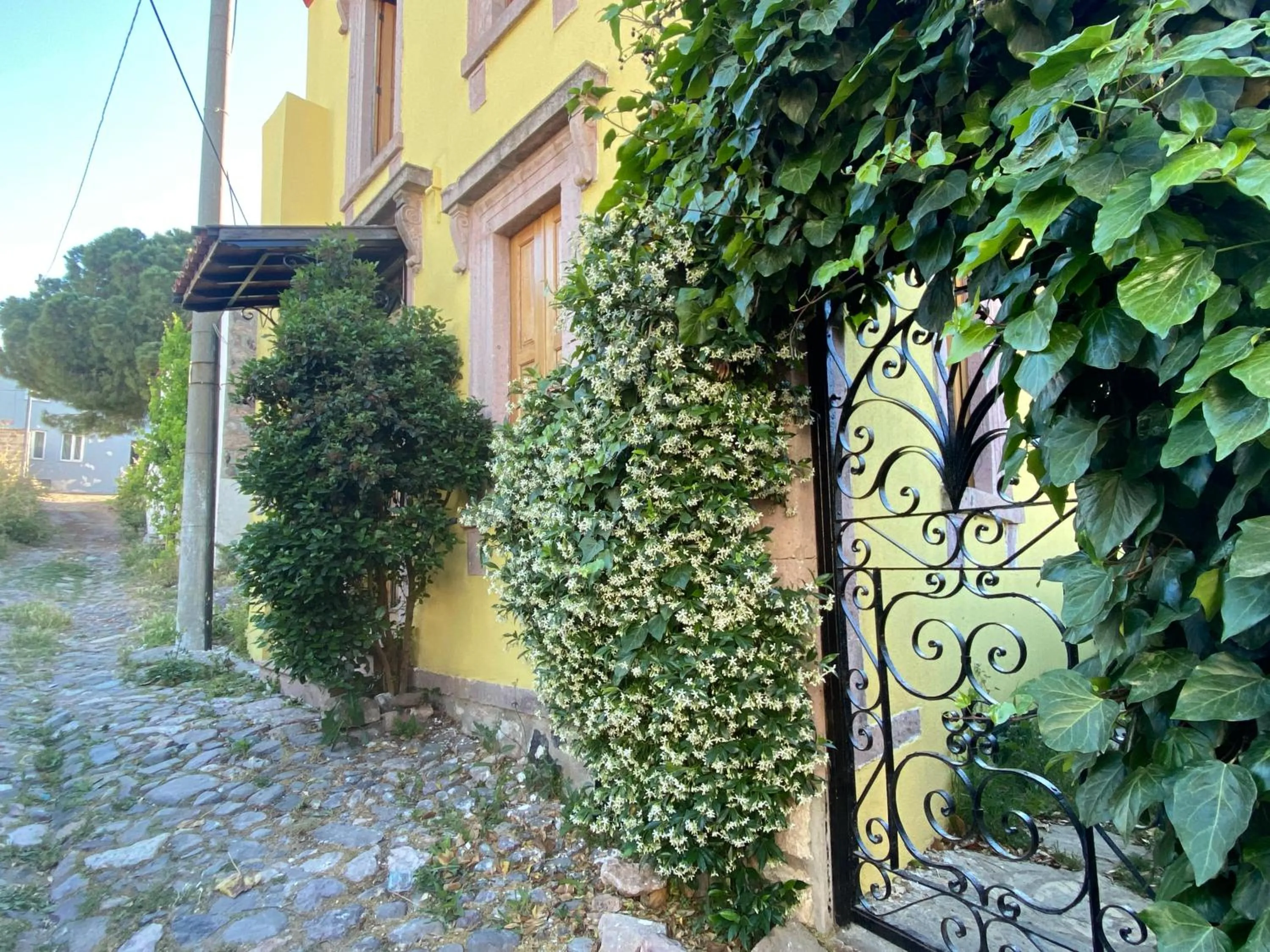 Property building in Stone House with Garden in Cunda/Ayvalik