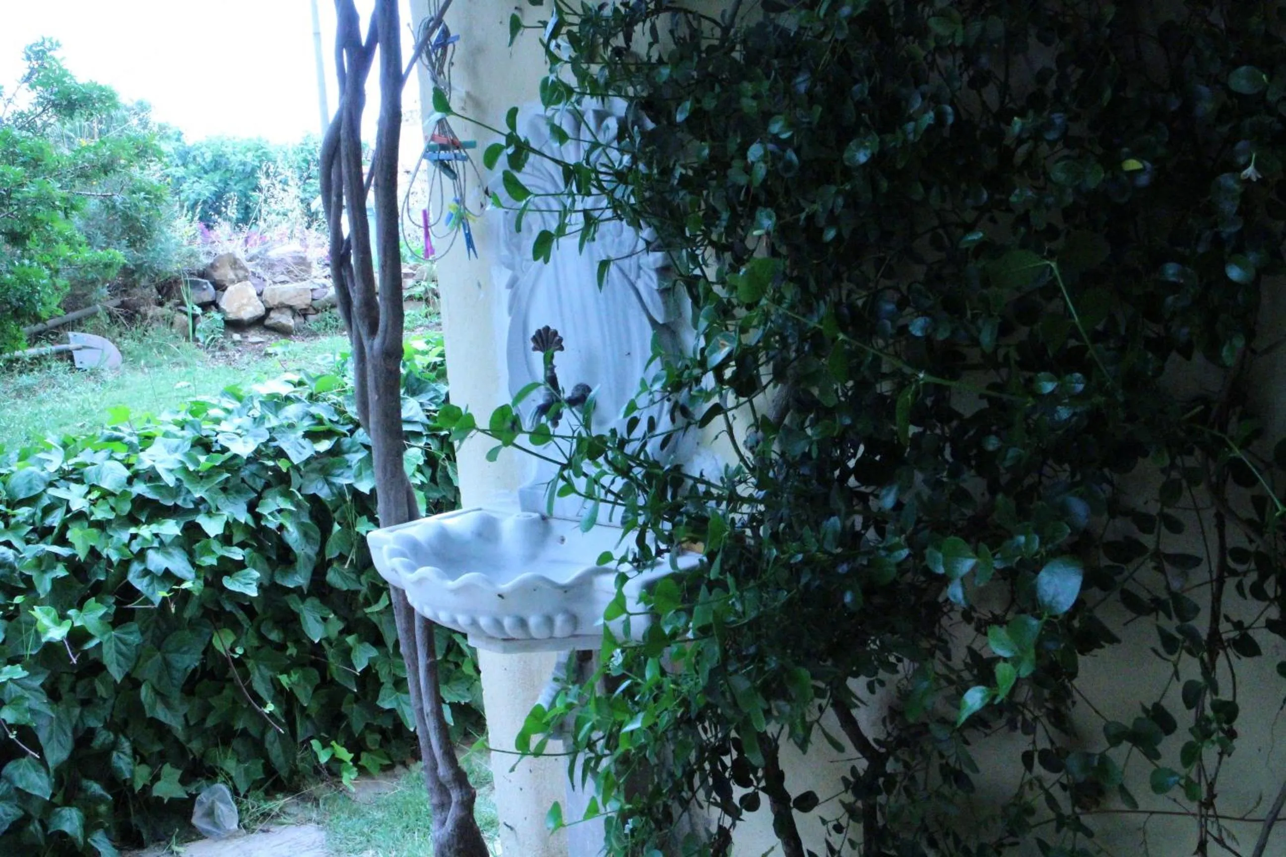 Patio in Stone House with Garden in Cunda/Ayvalik