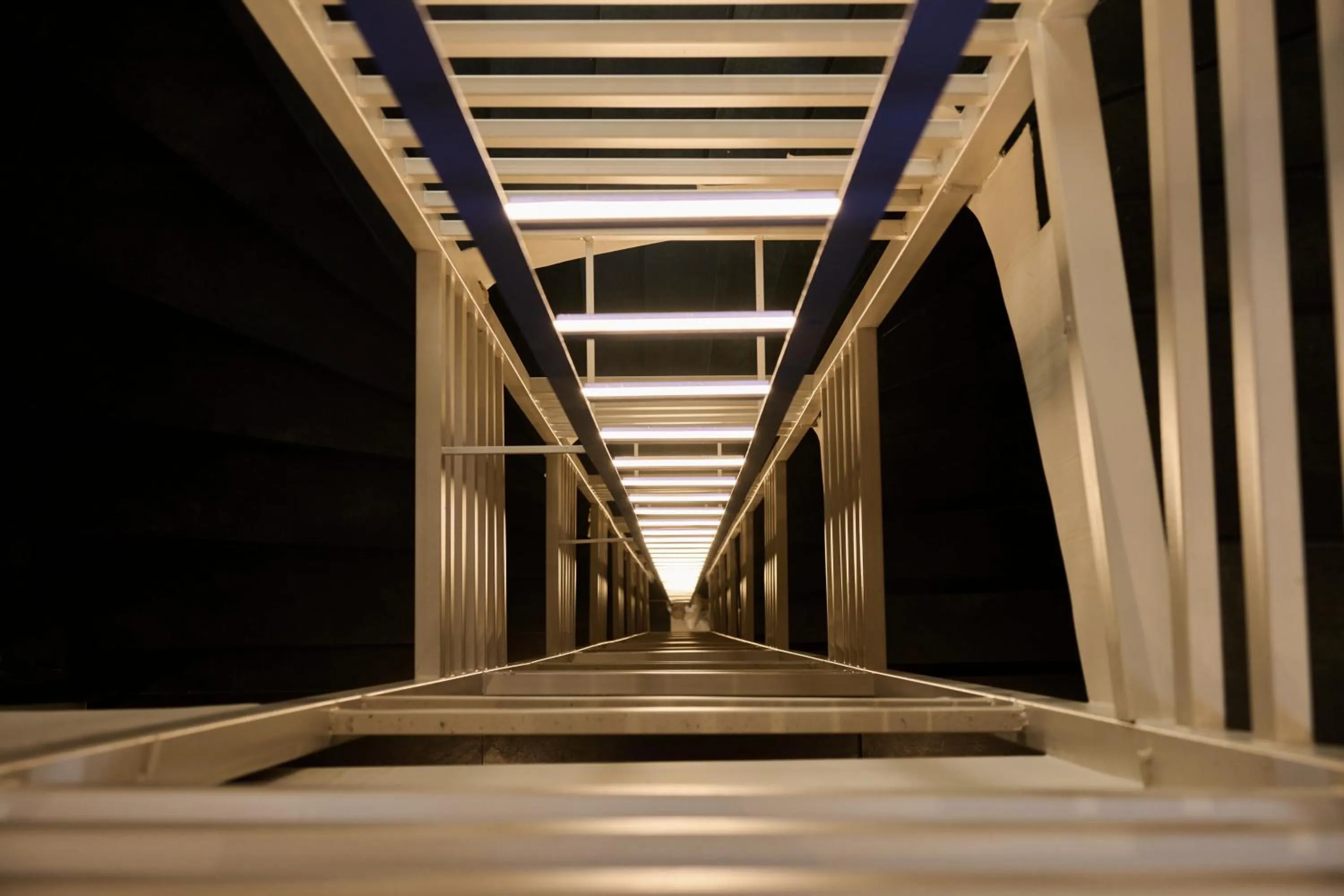 Text overlay in VISION OMONIA, ATHENS