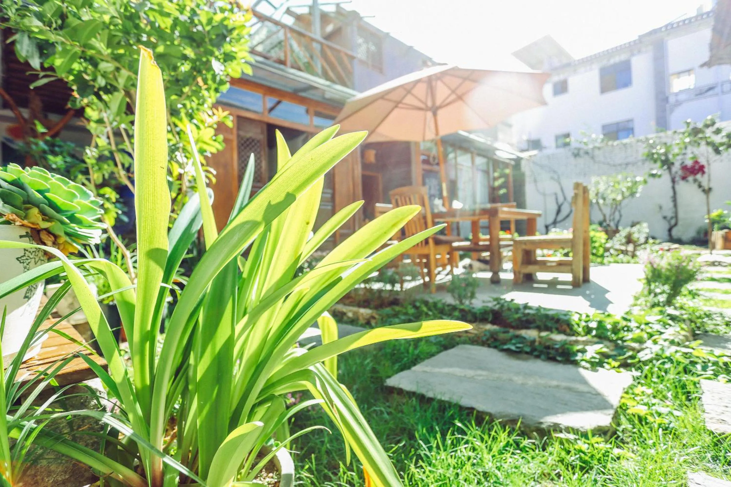 Garden in Cabin 7 Inn