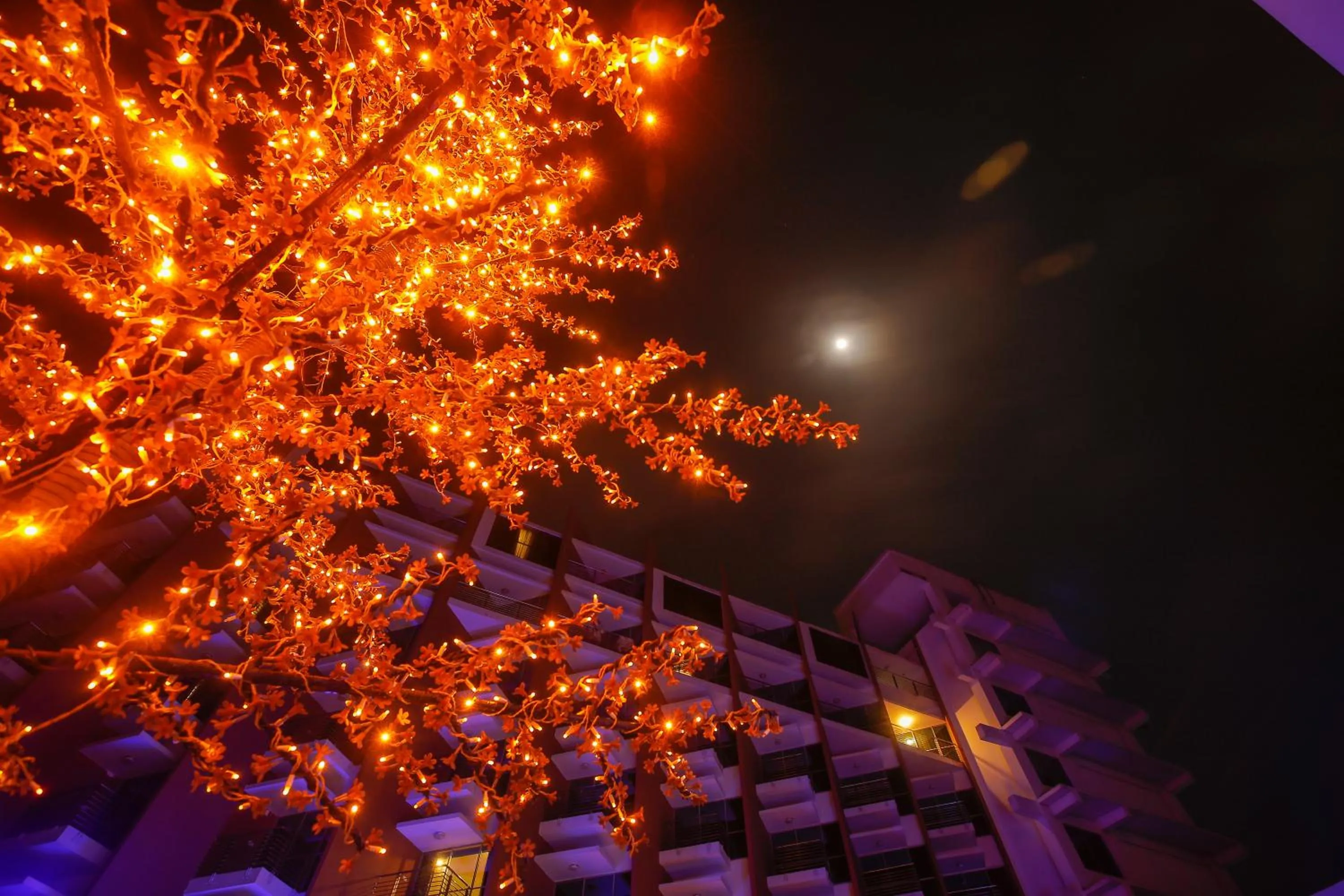 Property building in Long Beach Hotel