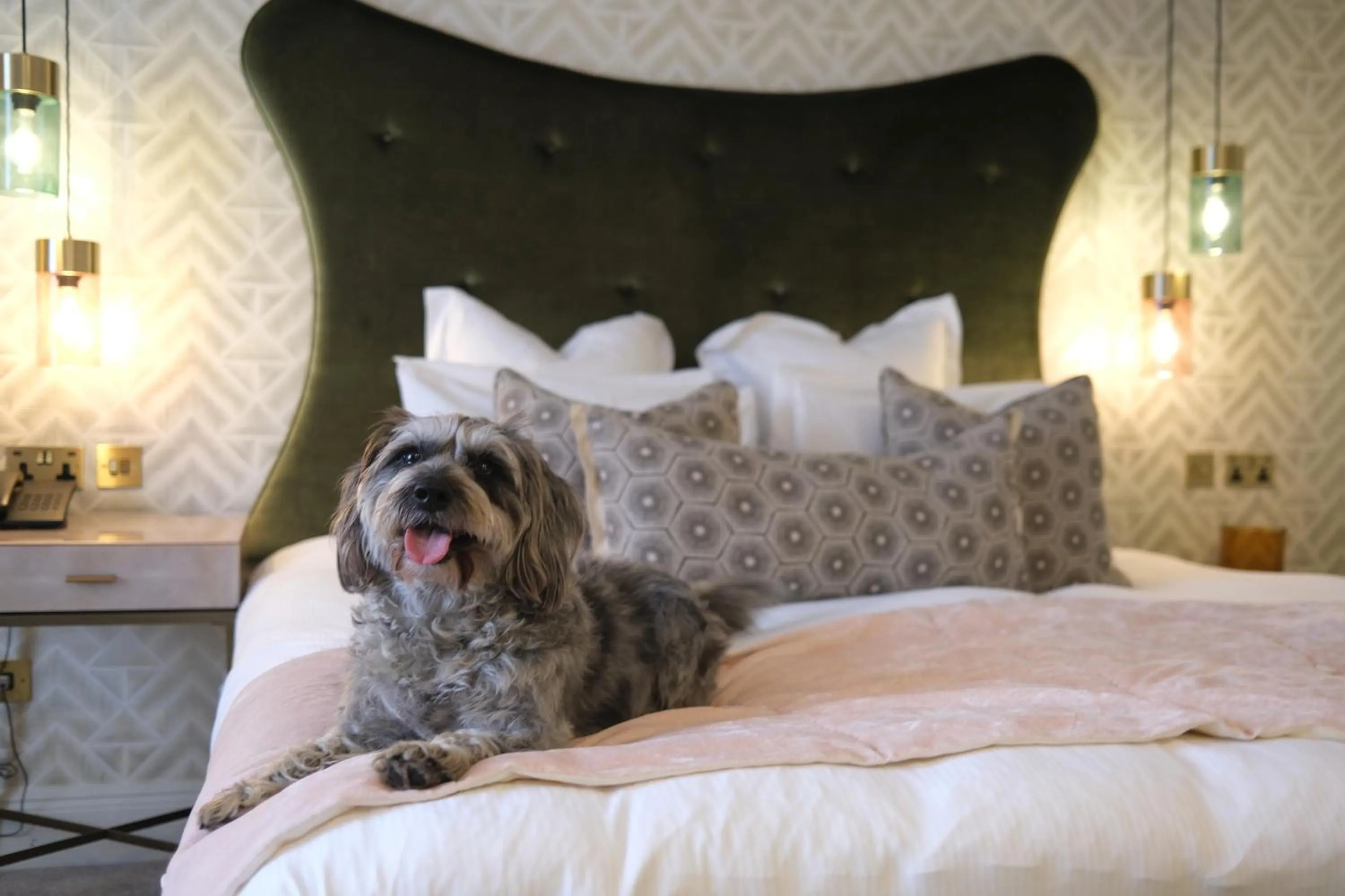 Bed in Gonville Hotel