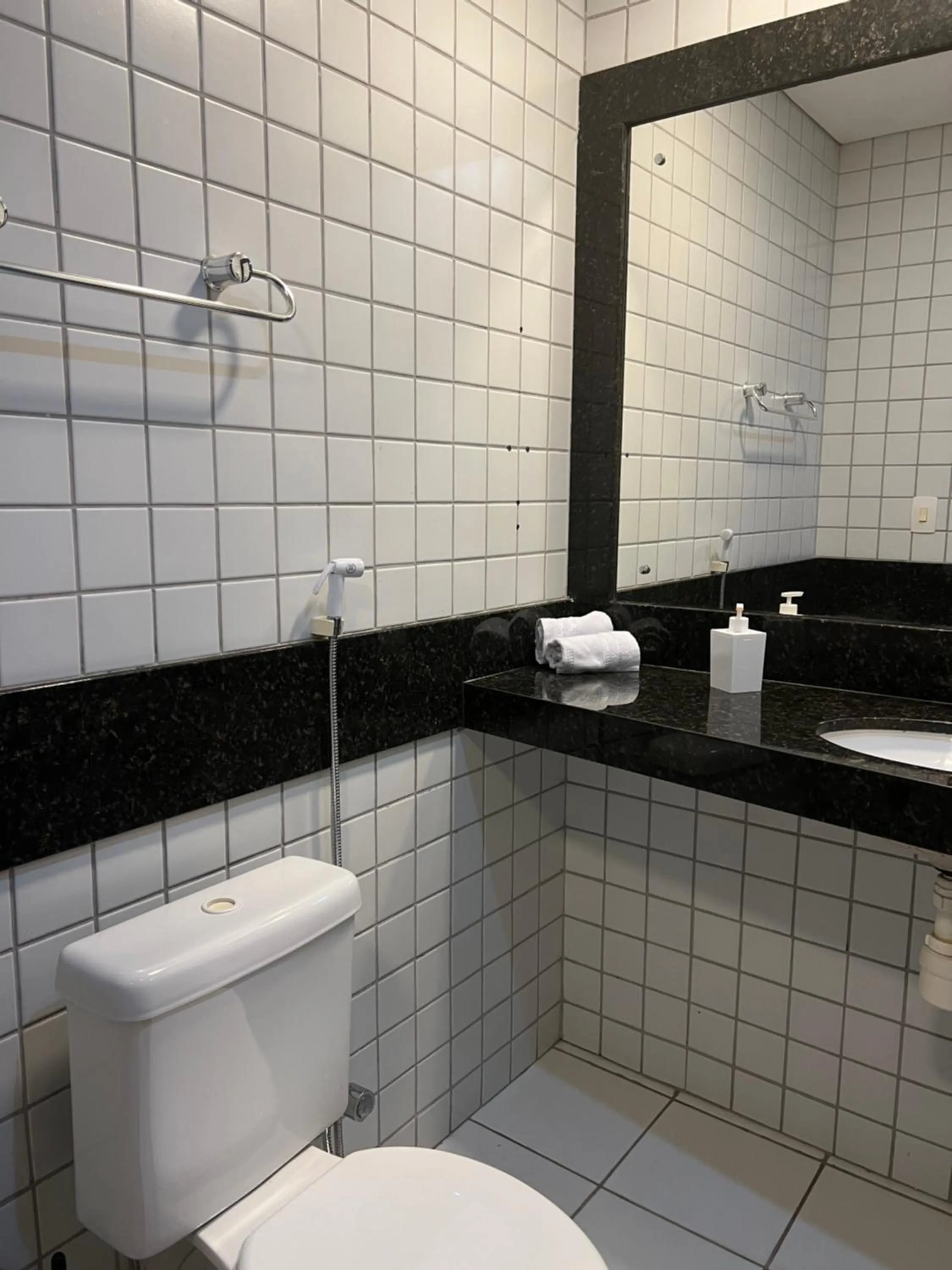 Toilet in Ponta Negra Flat