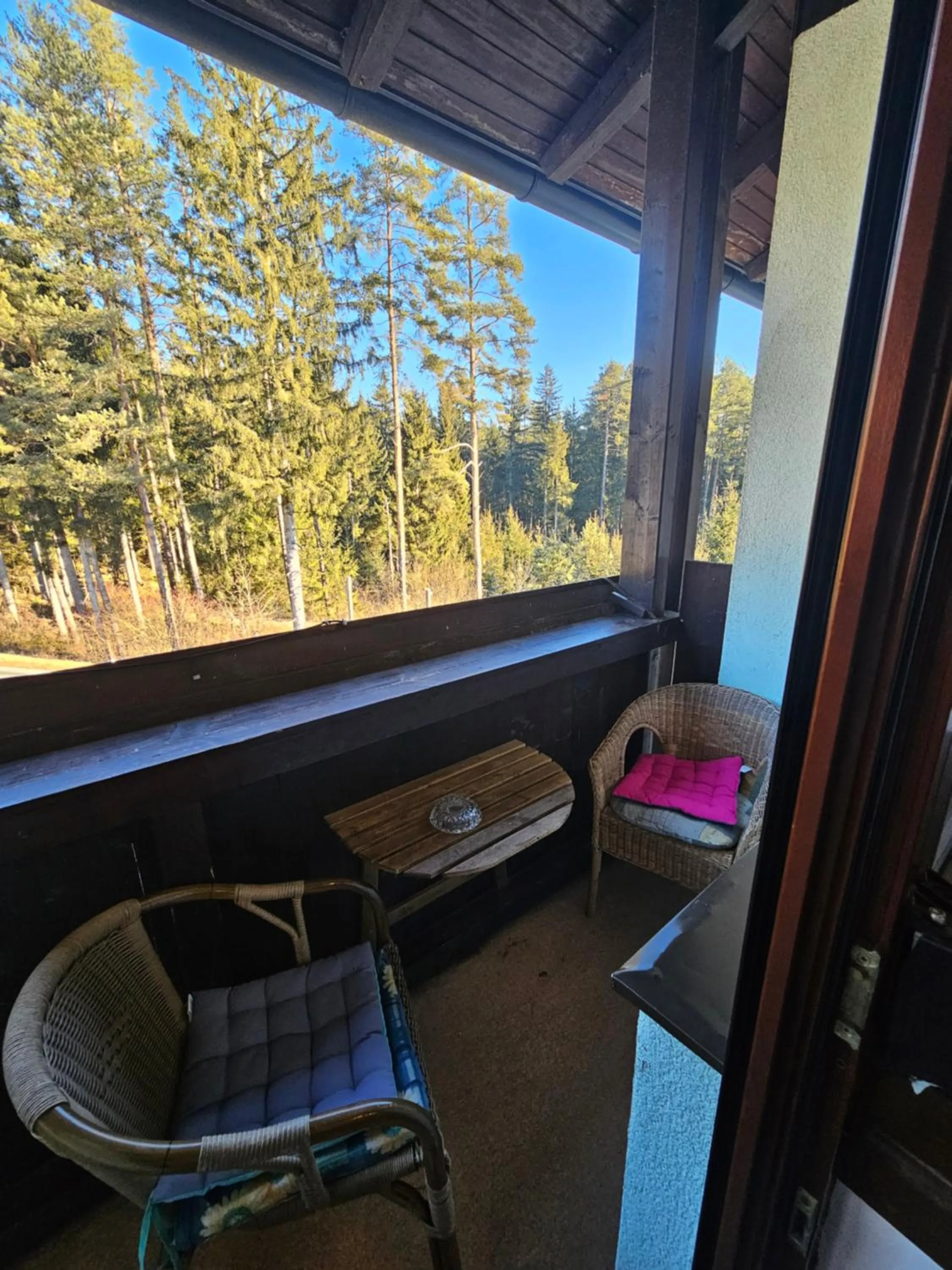 View (from property/room) in Karawanken Lodge