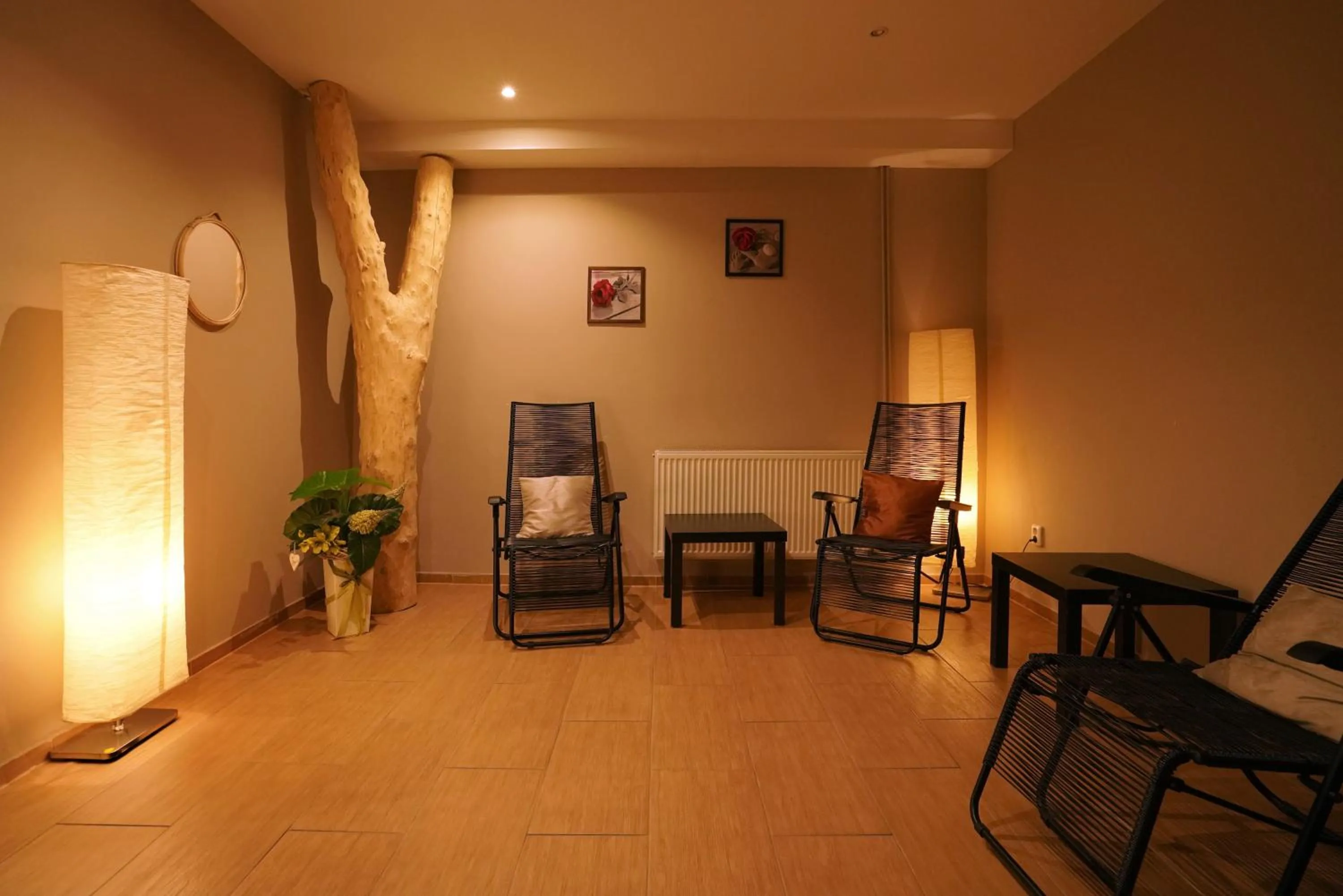 Spa and wellness centre/facilities in Wellness hotel Sauna