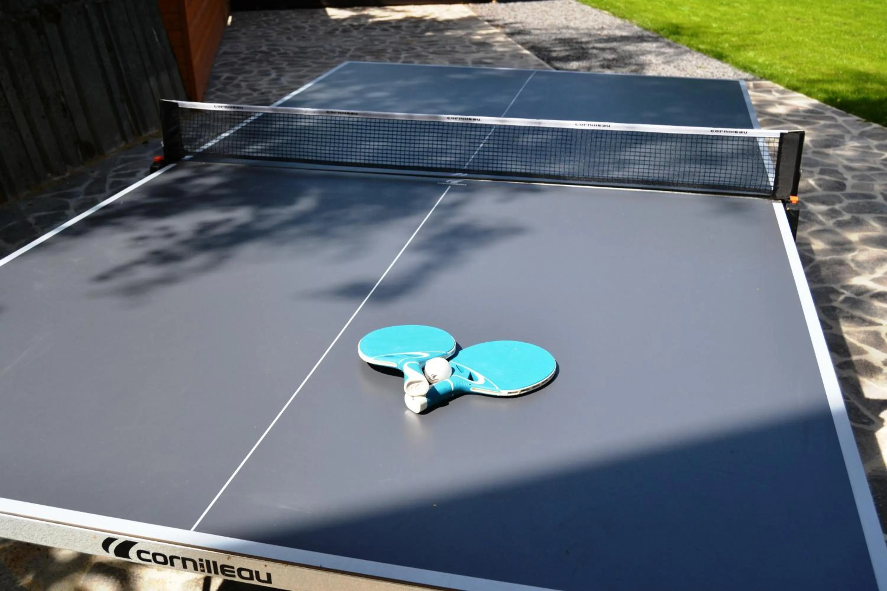 Table tennis in Wellness hotel Sauna