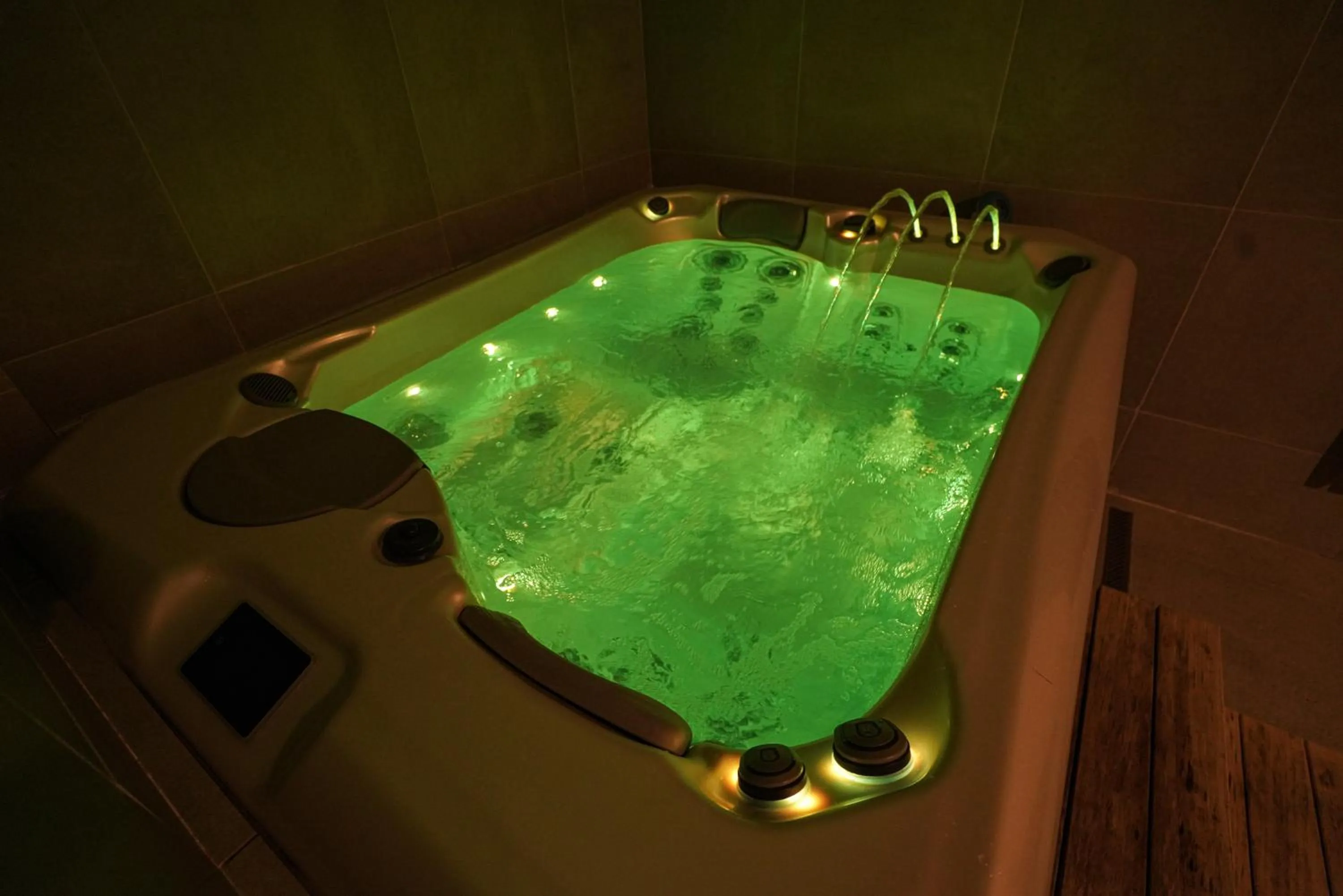 Hot Tub in Wellness hotel Sauna