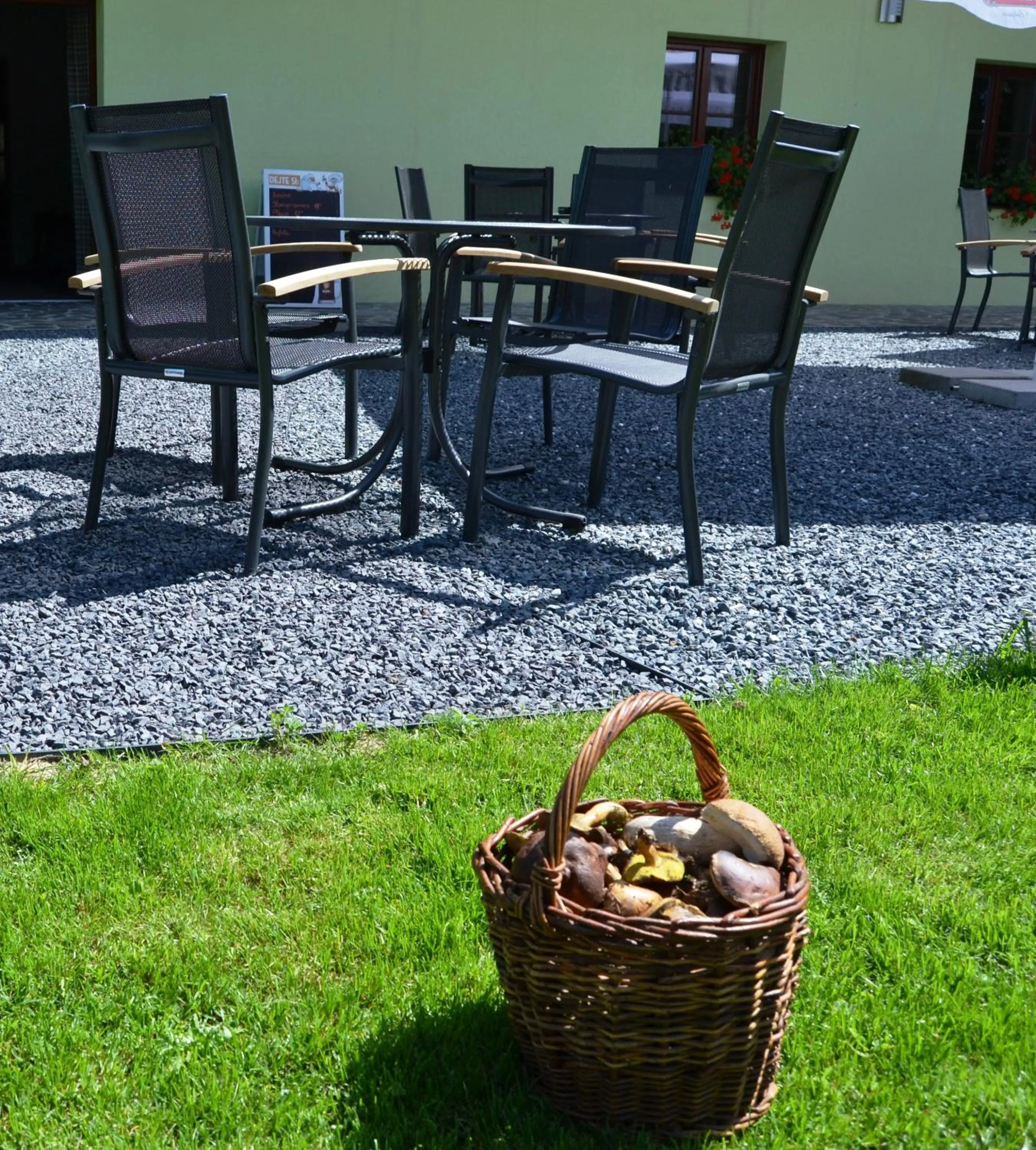 Activities in Wellness hotel Sauna