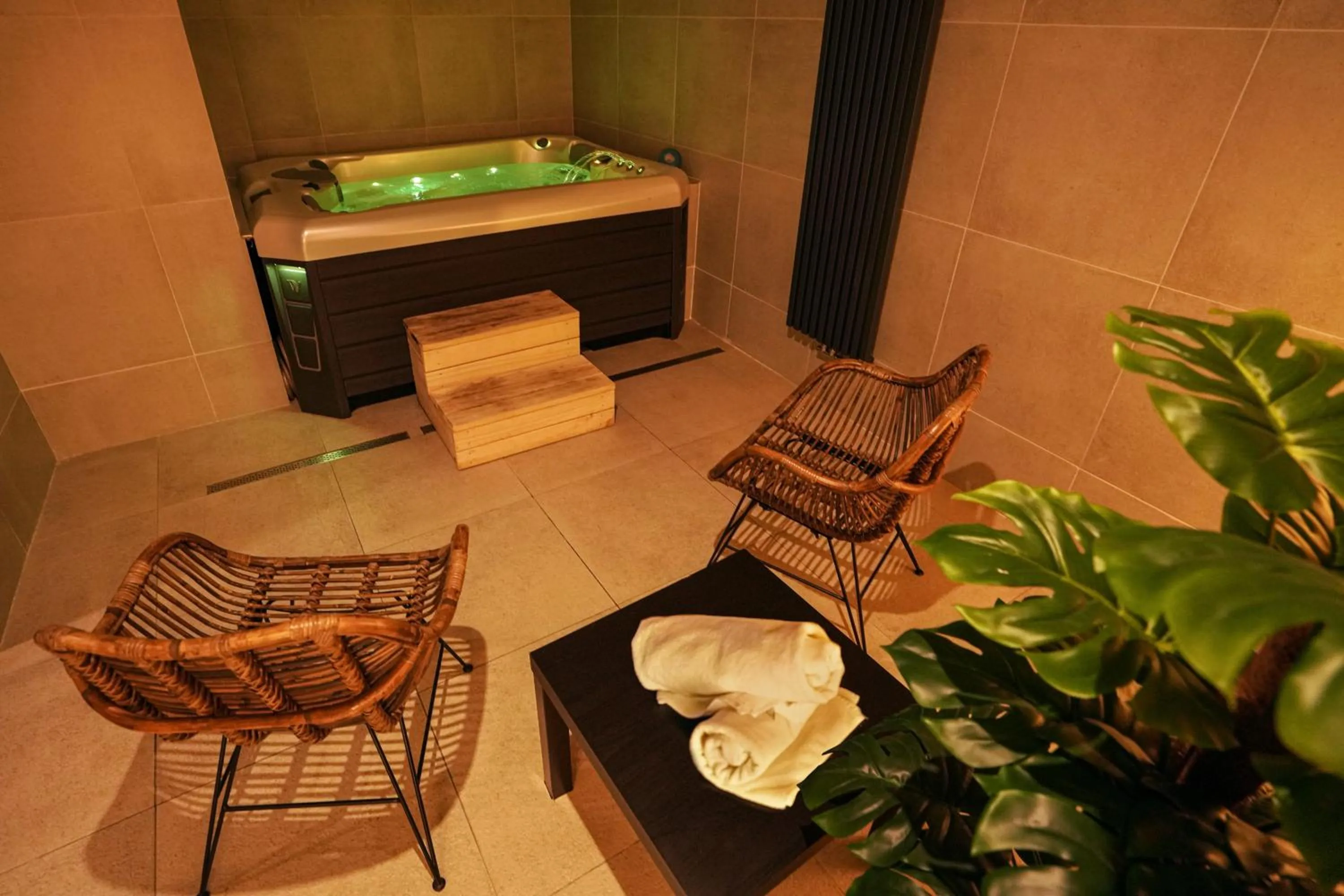 Spa and wellness centre/facilities in Wellness hotel Sauna