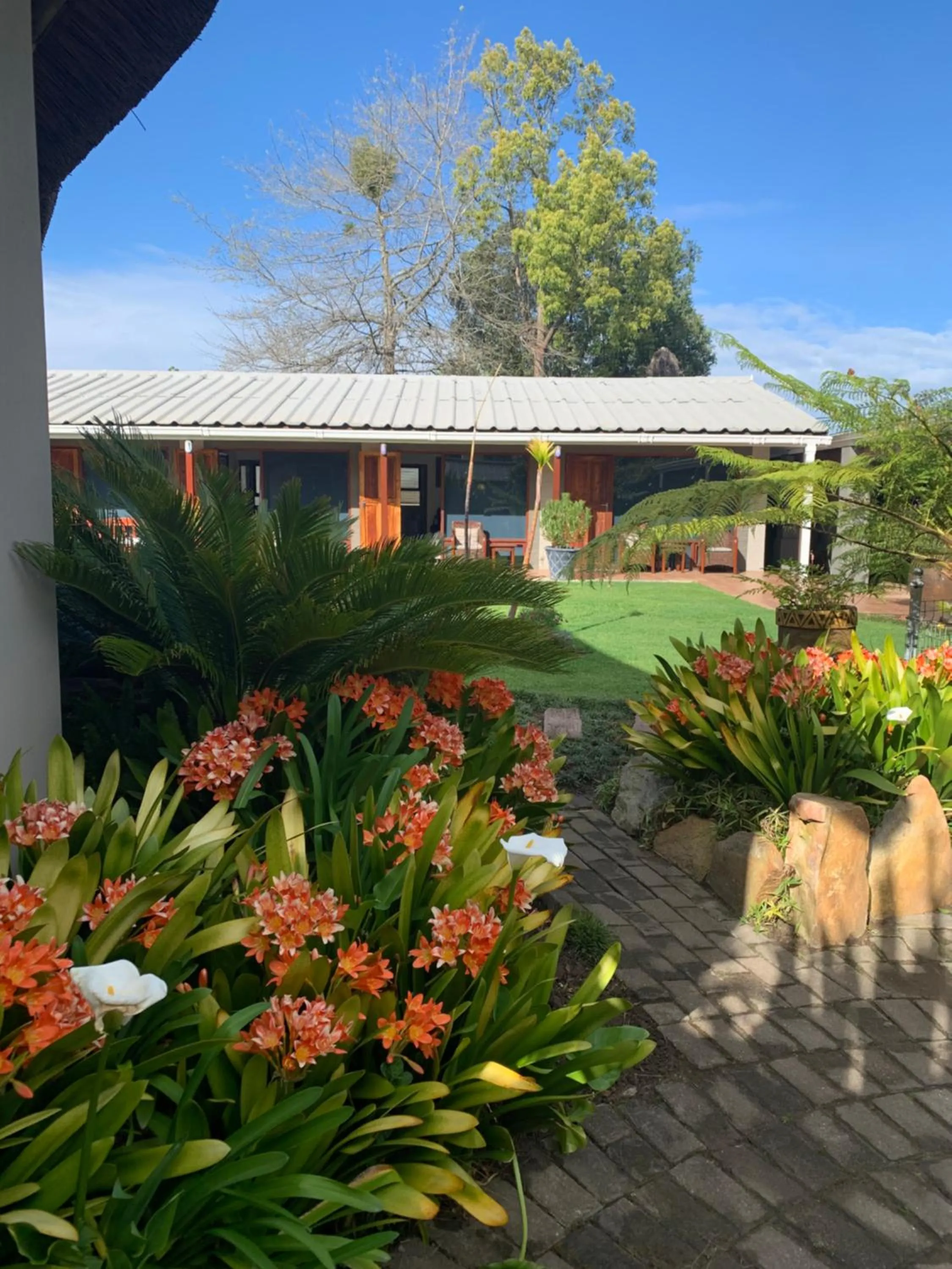 Garden in Mountain Dew Guest House