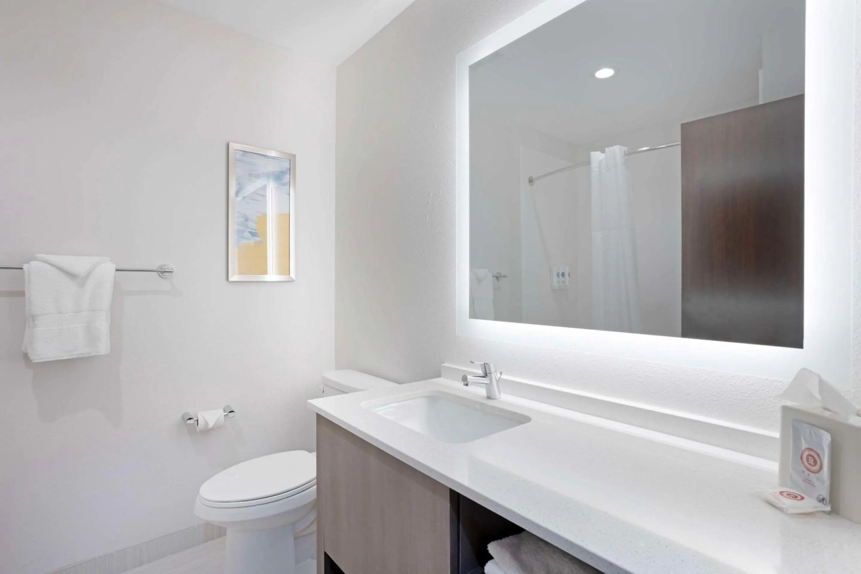 Bathroom in Comfort Inn & Suites Mountain Grove US-60