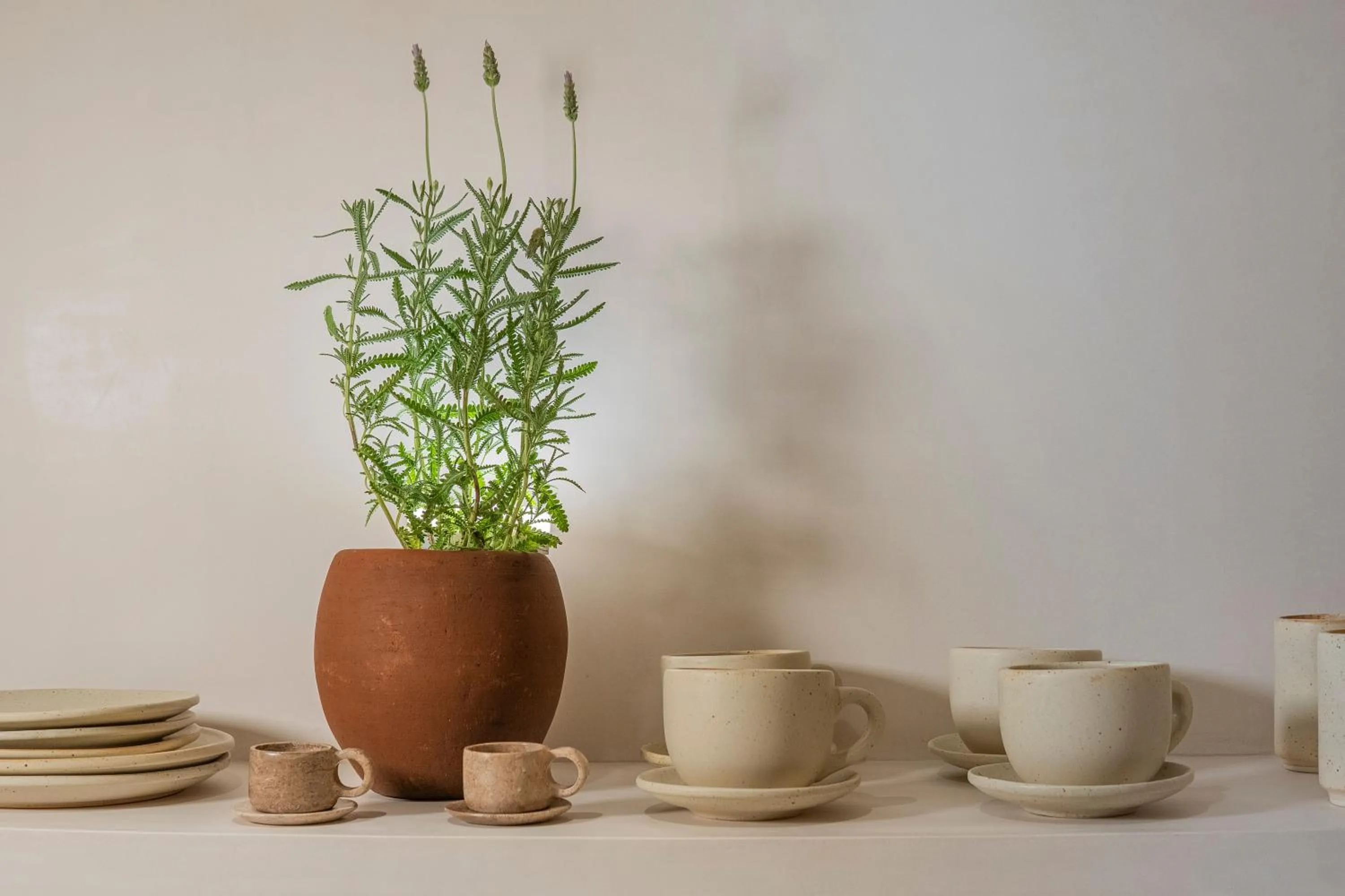 Coffee/tea facilities in Nãmas Tulum