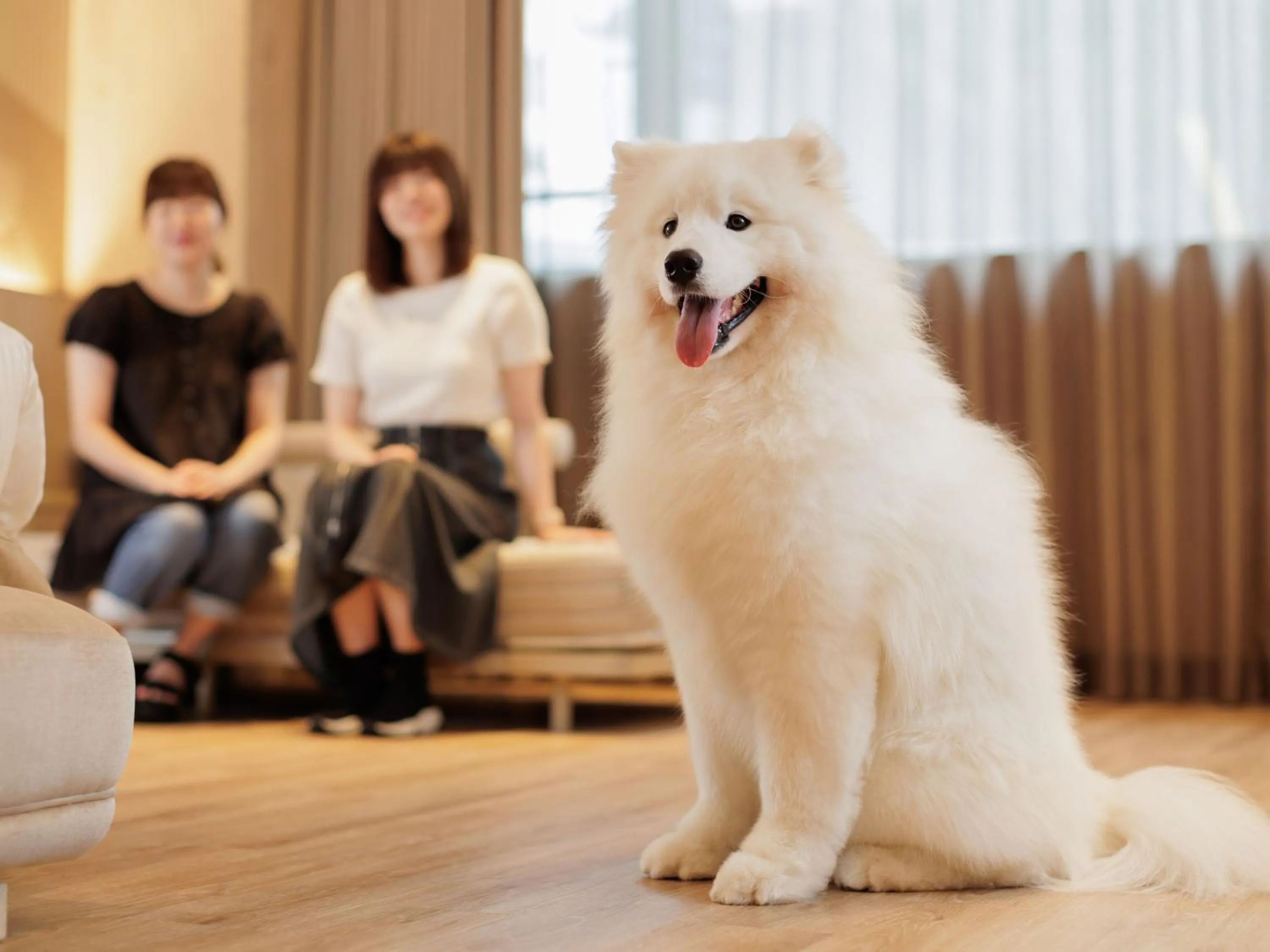 Photo of the whole room in Kamenoi Hotel Tsukubasan