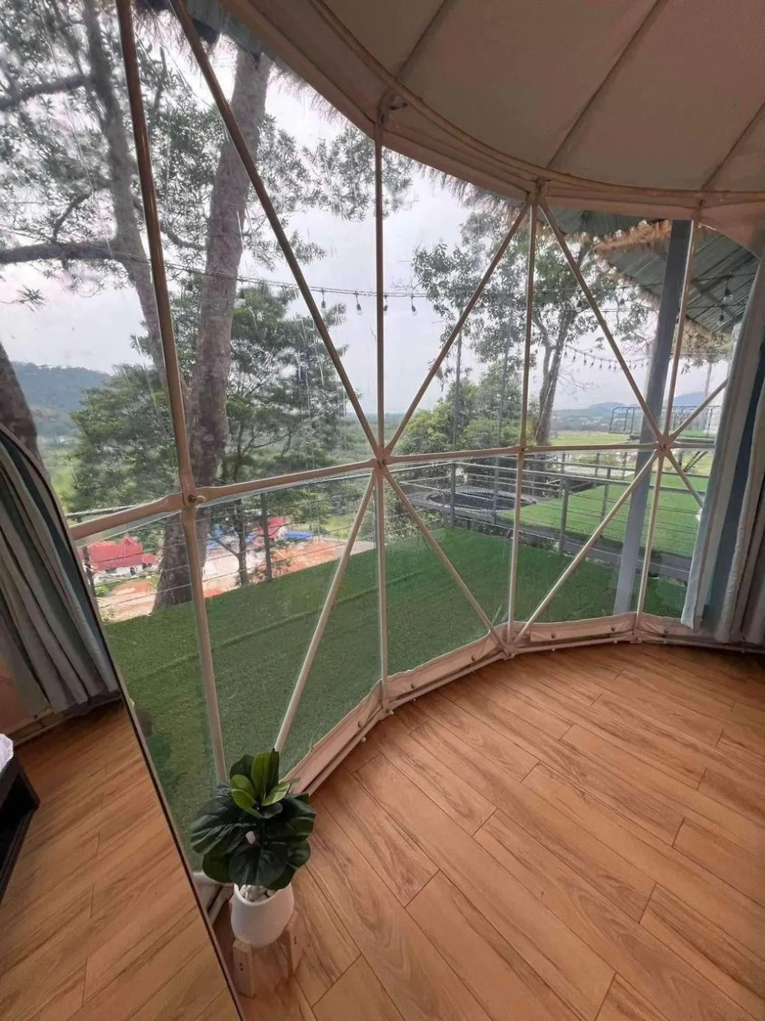 View (from property/room) in Bangmara Hill