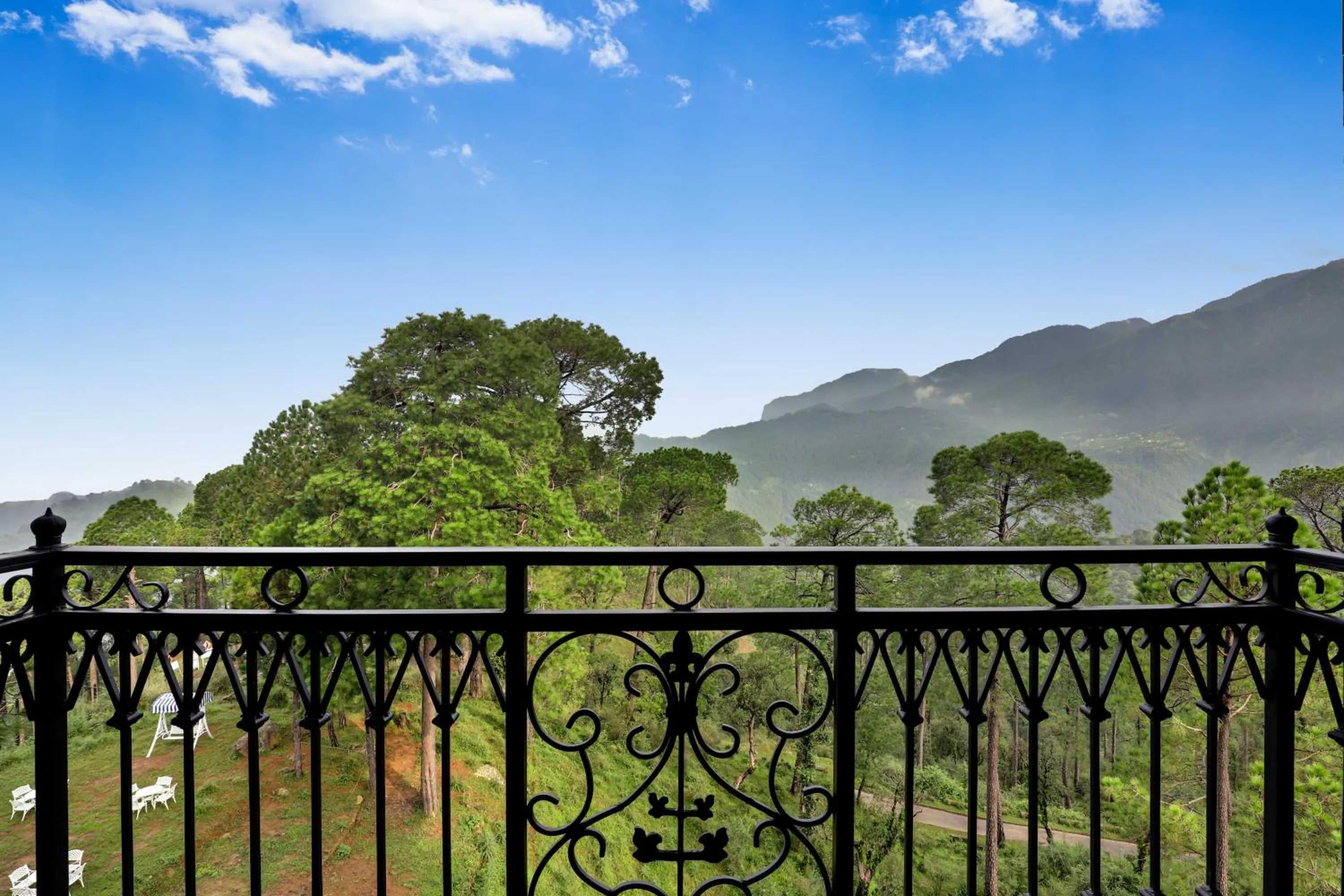 Spring in Lemon Tree Hotel, Mcleodganj